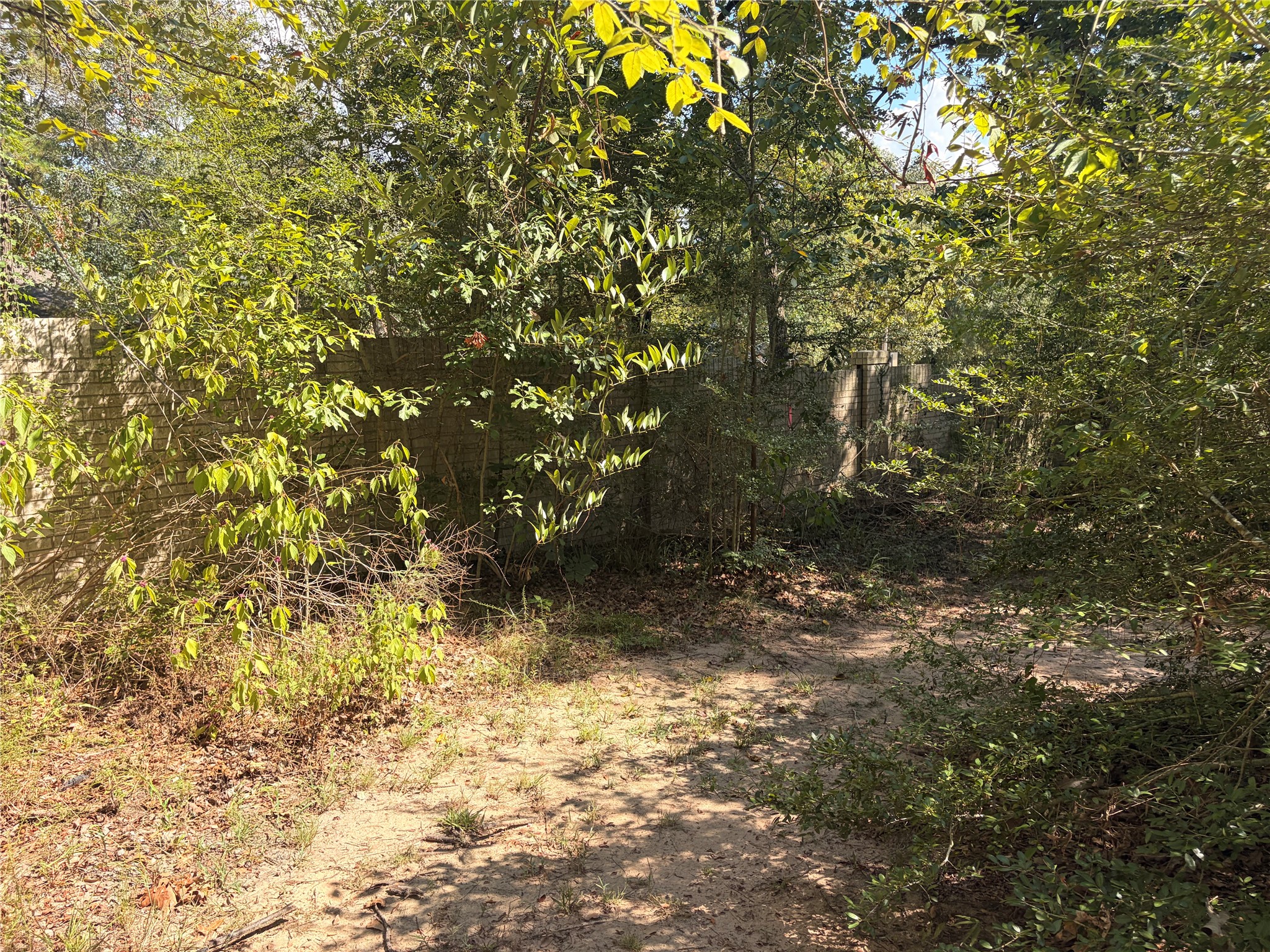 313 Pine Brook Drive Property Photo 27