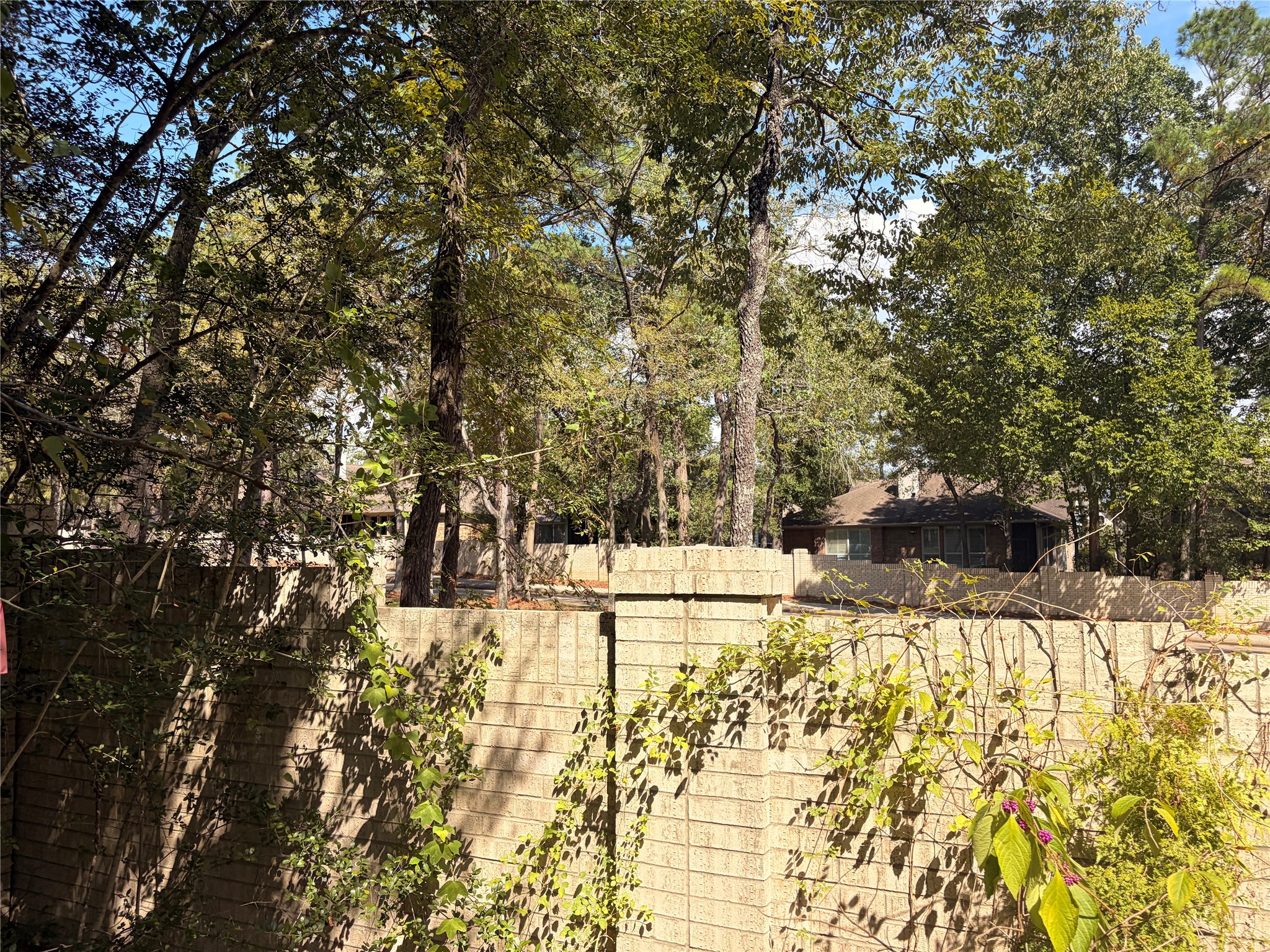 313 Pine Brook Drive Property Photo 29