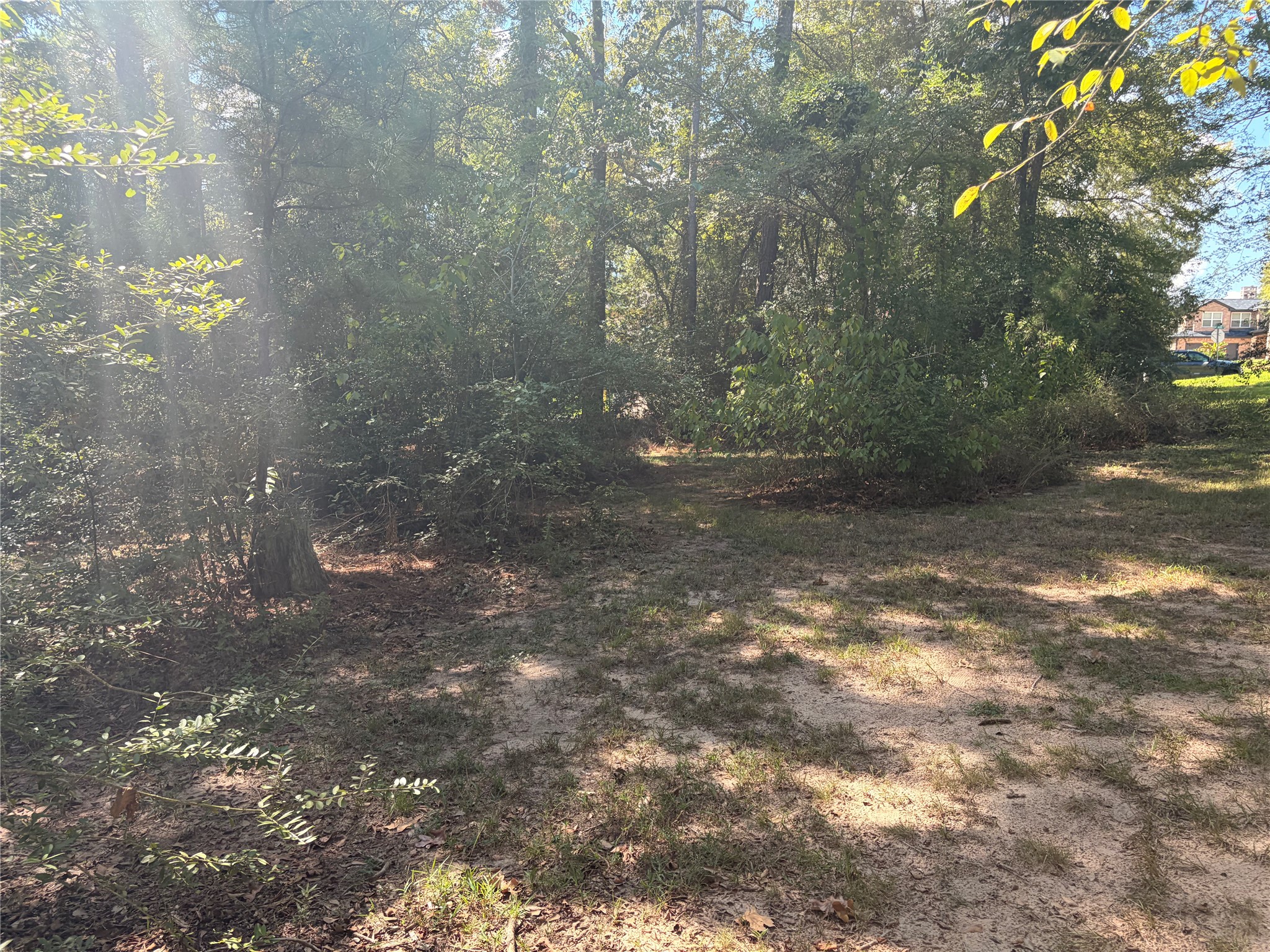 313 Pine Brook Drive Property Photo 31