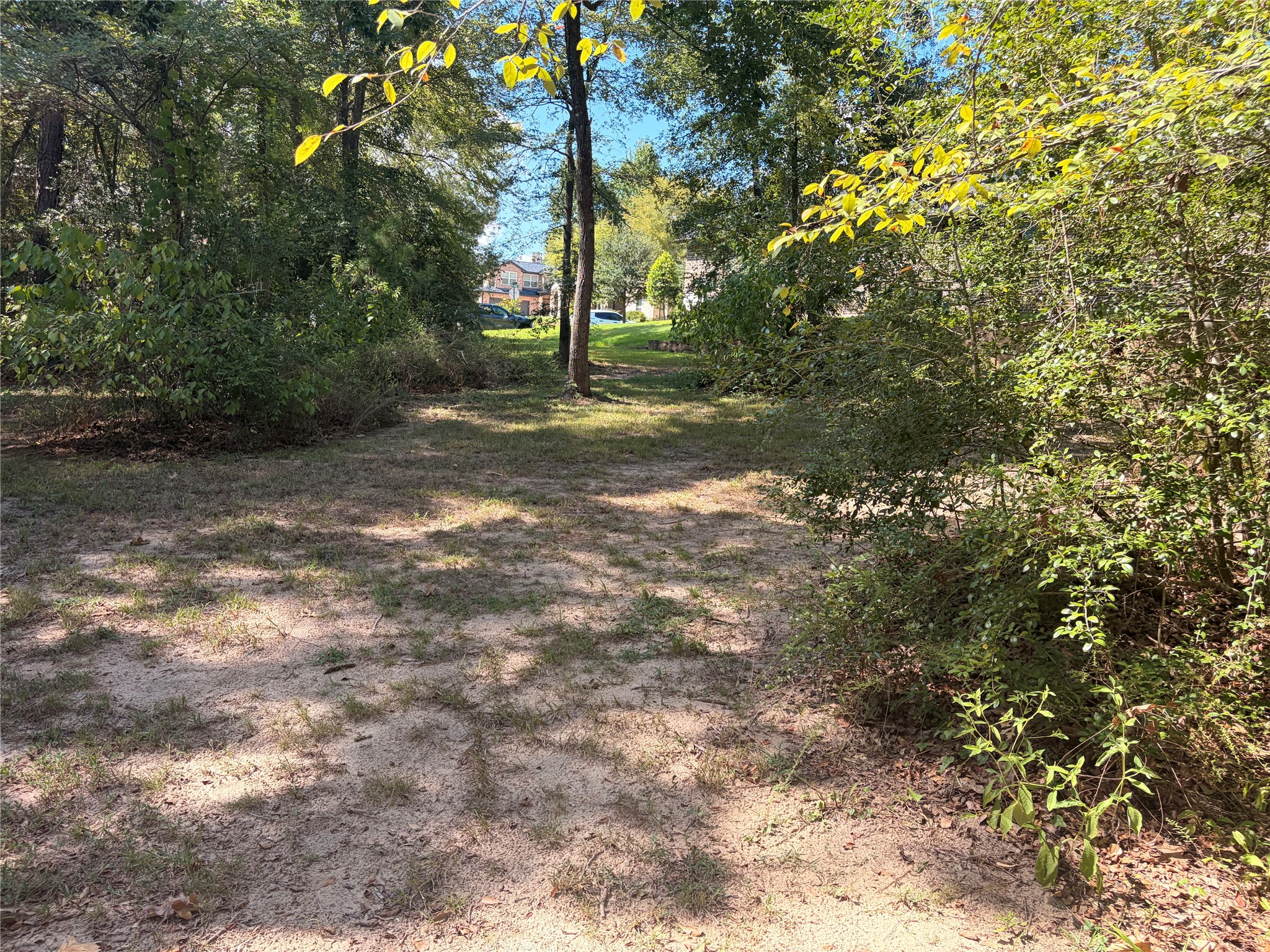 313 Pine Brook Drive Property Photo 32
