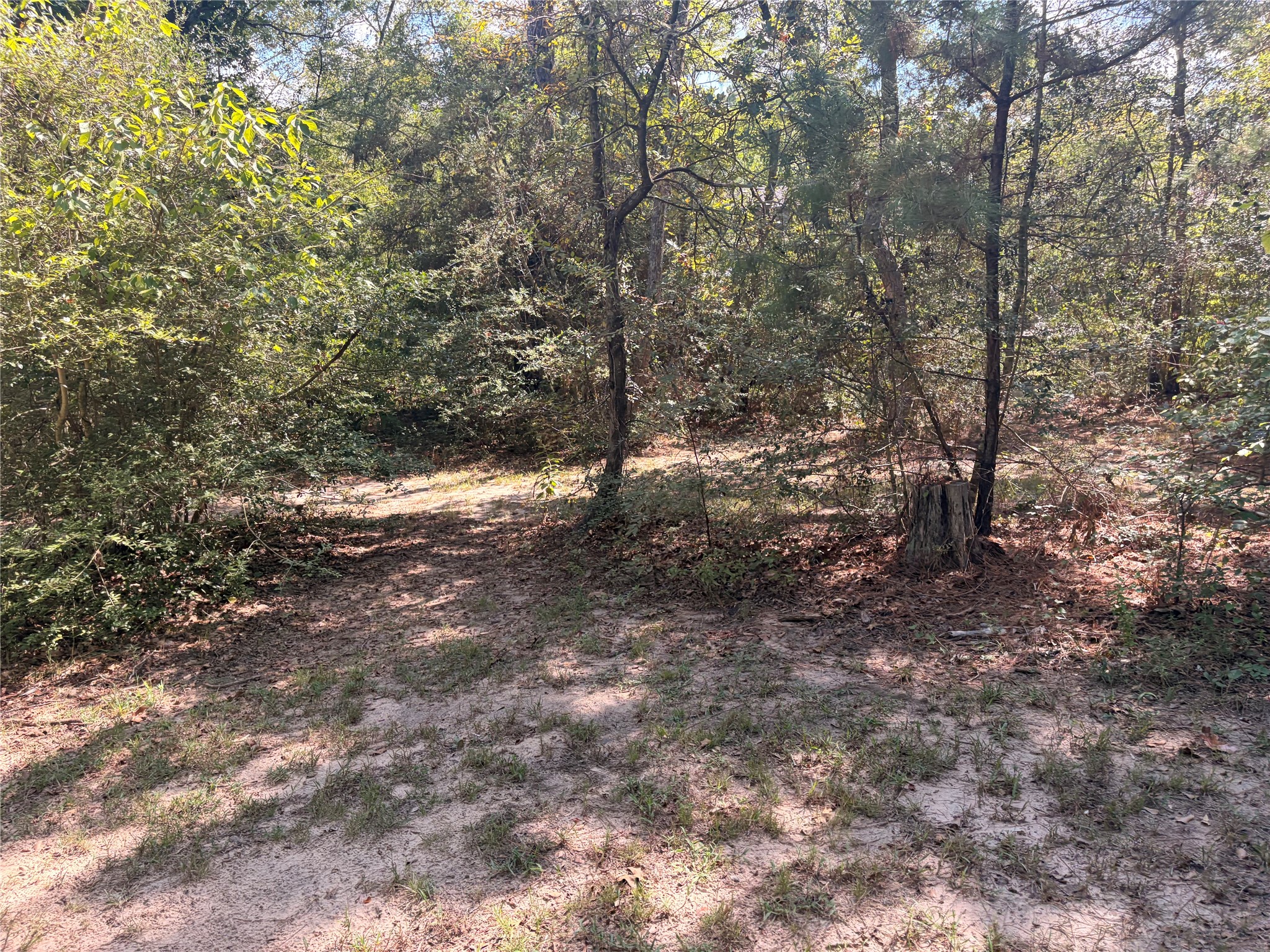 313 Pine Brook Drive Property Photo 35