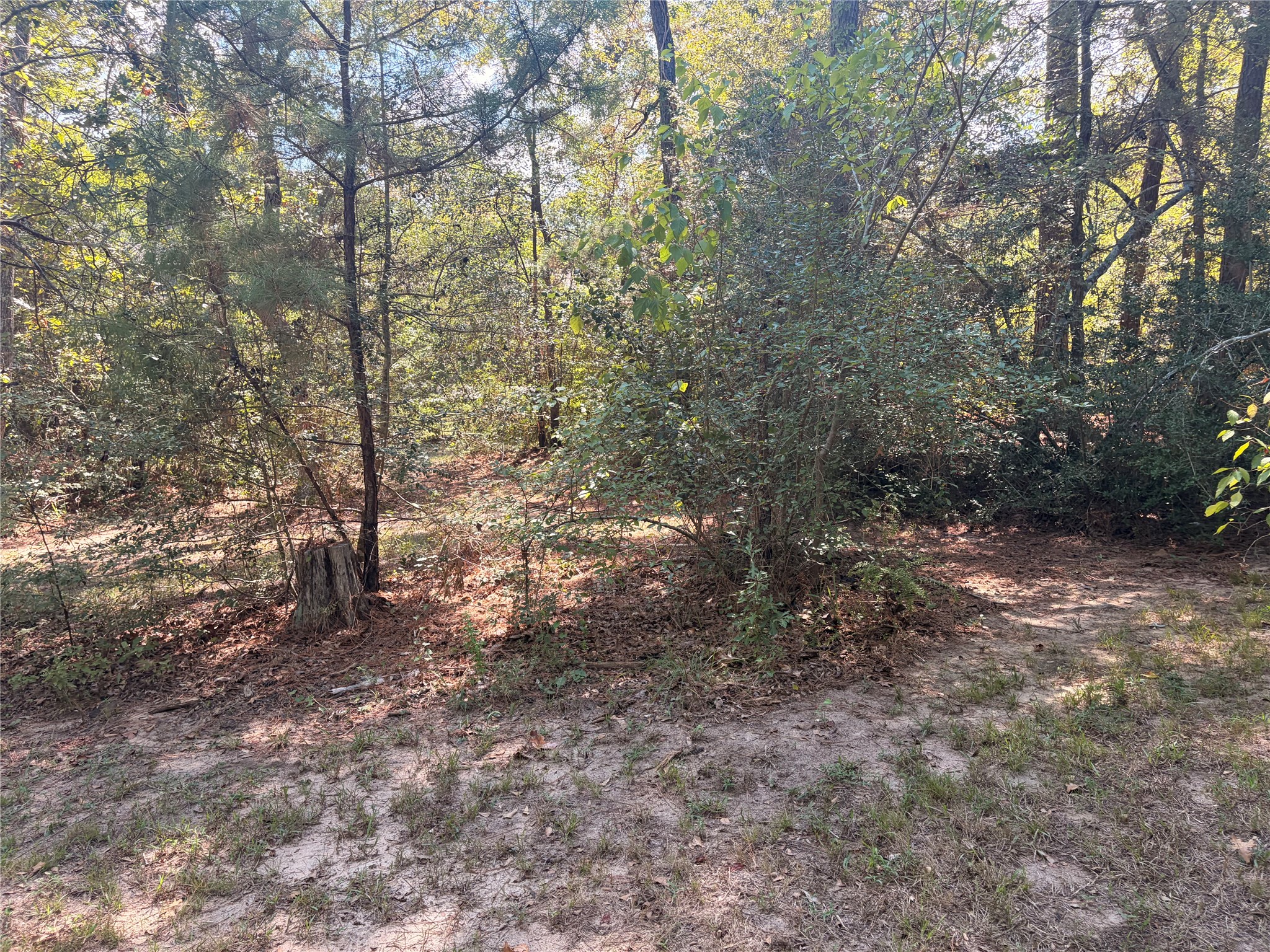 313 Pine Brook Drive Property Photo 36