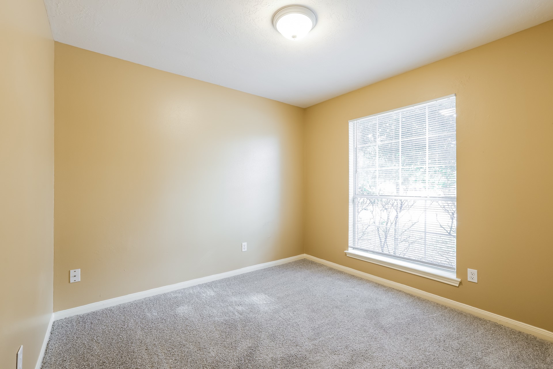 16039 Imperial Forest Lane Property Photo 6