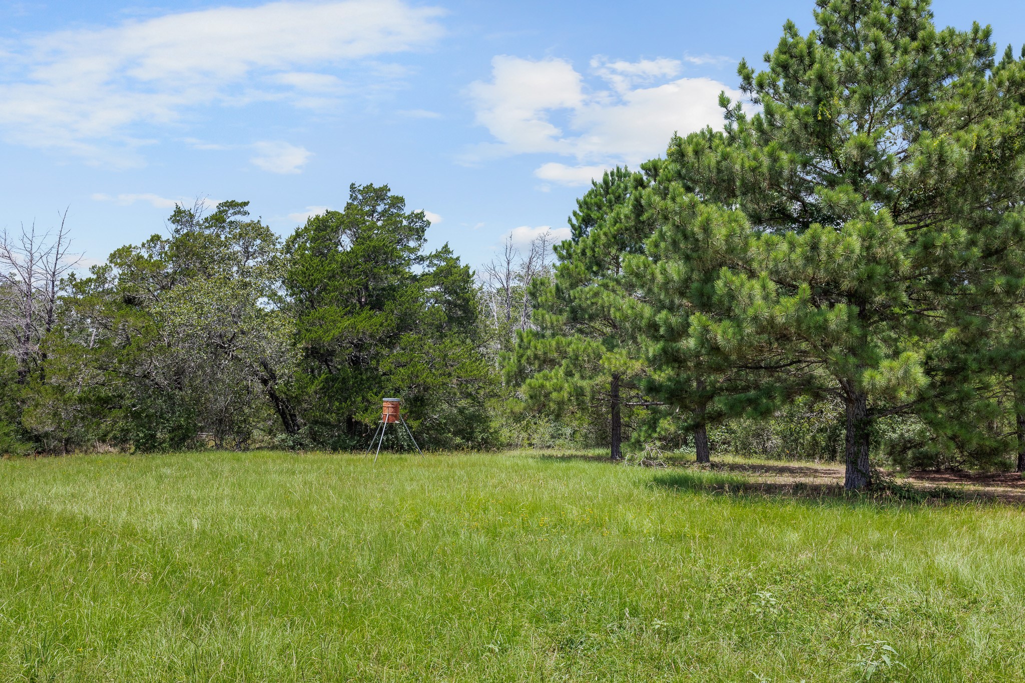 3941 County Road 219 Property Photo 34