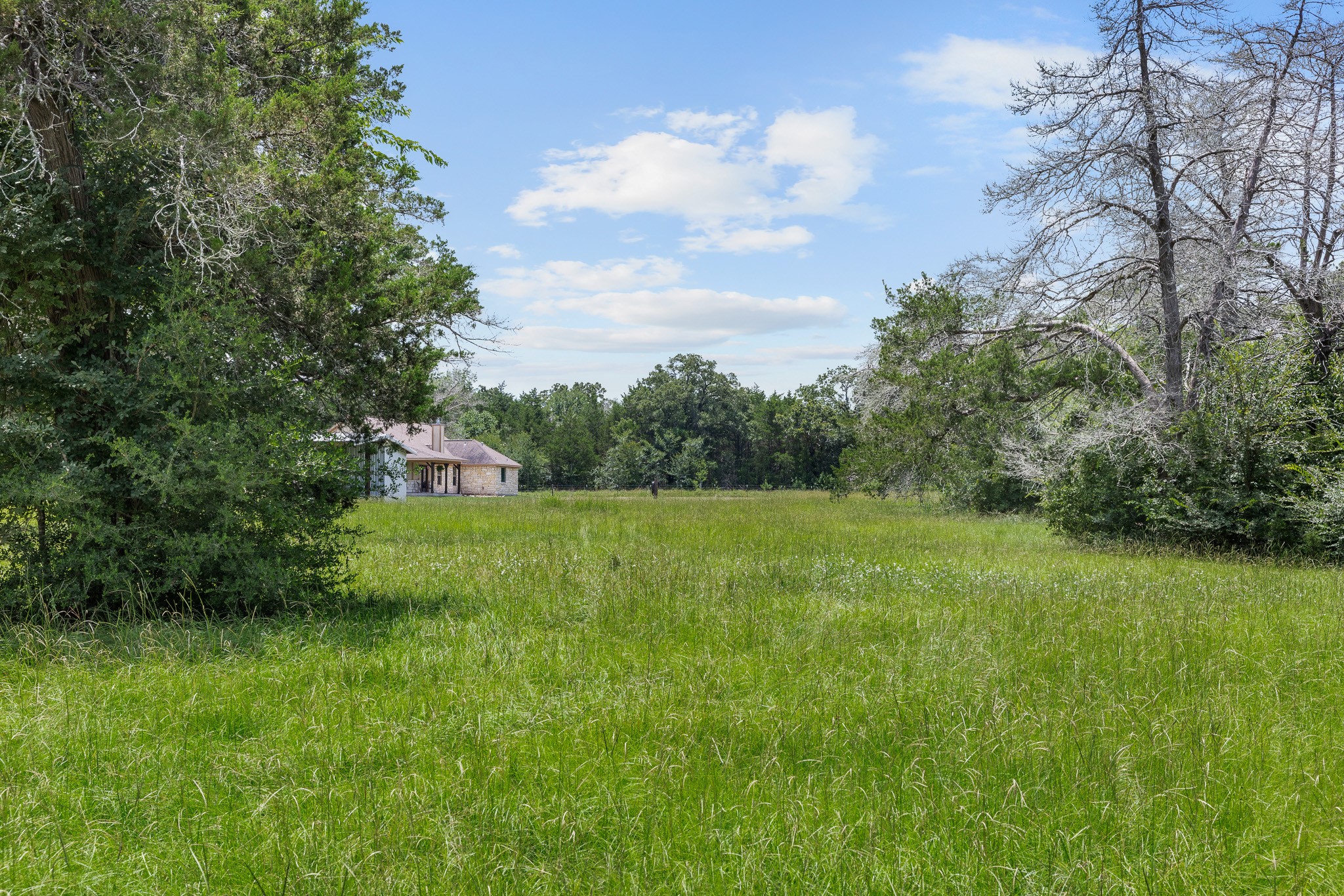 3941 County Road 219 Property Photo 35