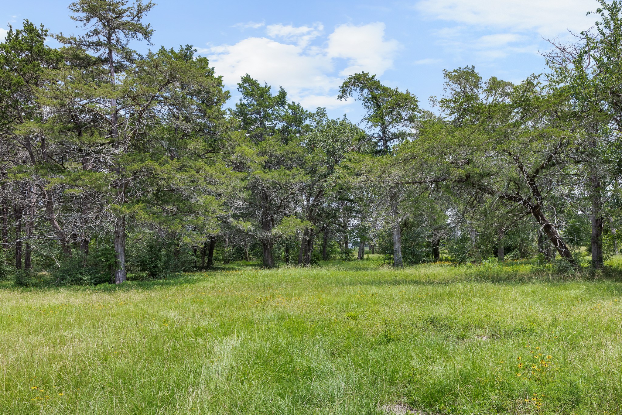 3941 County Road 219 Property Photo 36