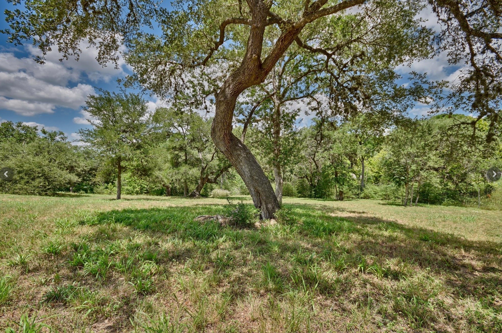 Tbd Kathleen Avenue Property Photo 3