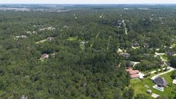11721 Great Oak Boulevard Boulevard Property Photo 13