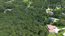 11721 Great Oak Boulevard Boulevard Property Photo 14