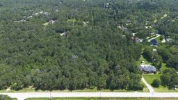 11721 Great Oak Boulevard Boulevard Property Photo 16