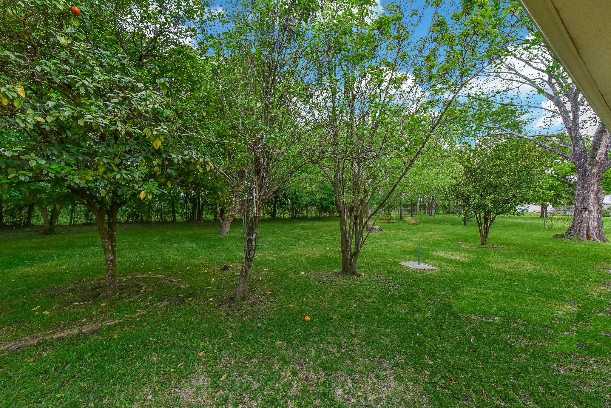 18610 Anne Drive Property Photo 49