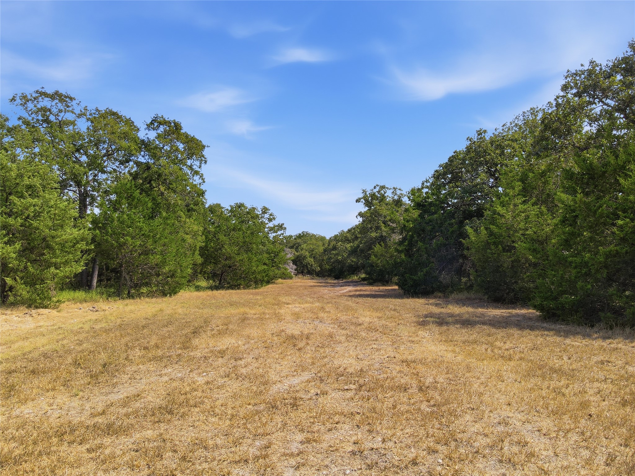 4241 County Road 415 Property Photo 11