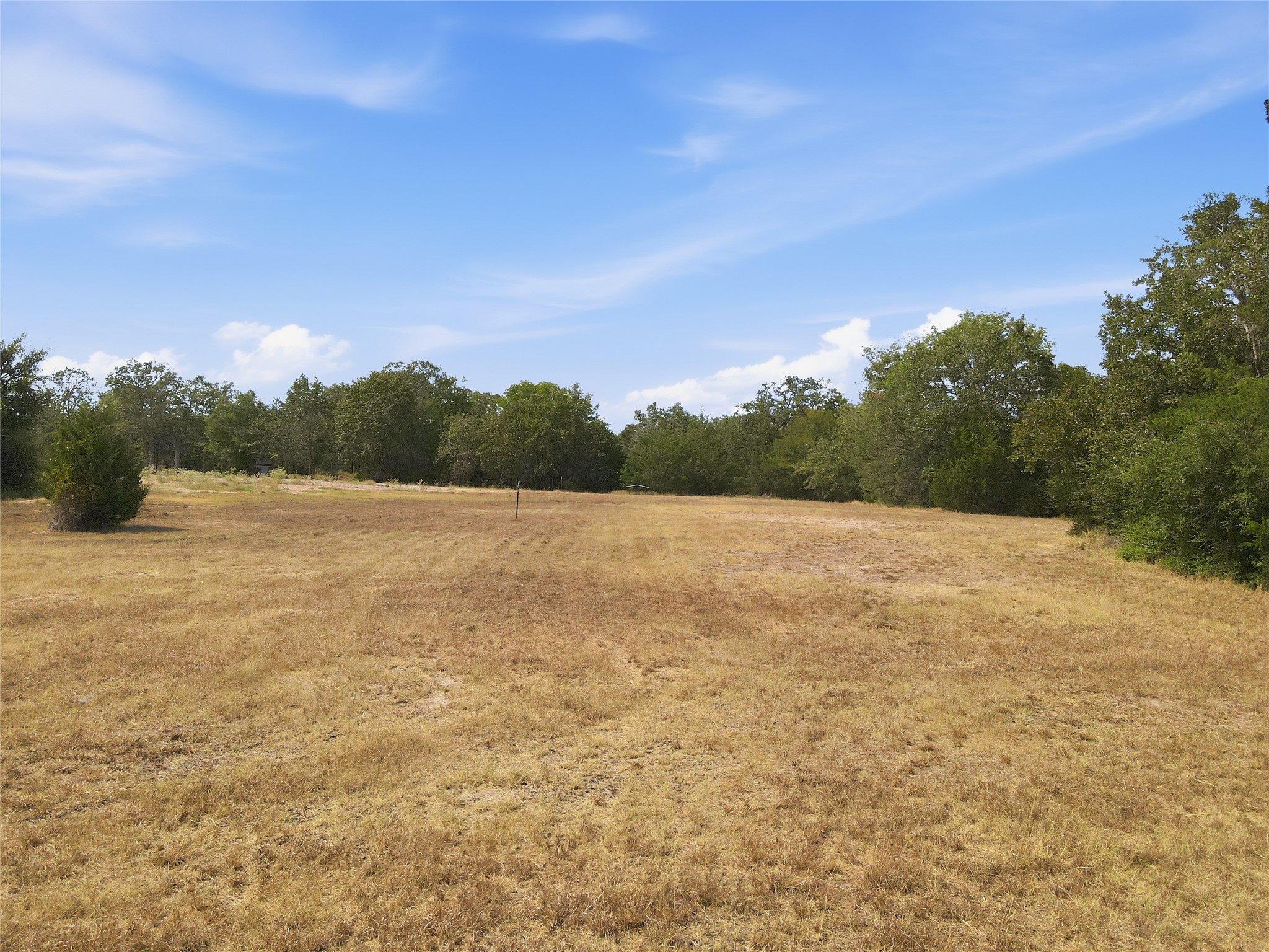 4241 County Road 415 Property Photo 12