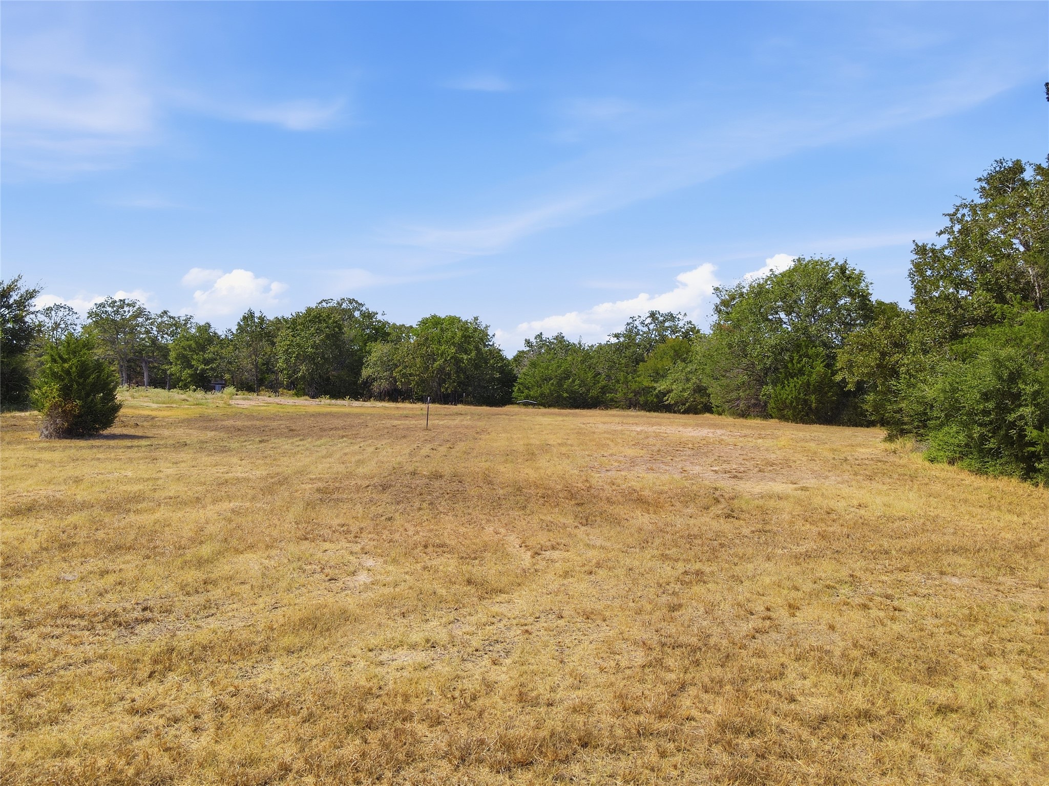 4241 County Road 415 Property Photo 13