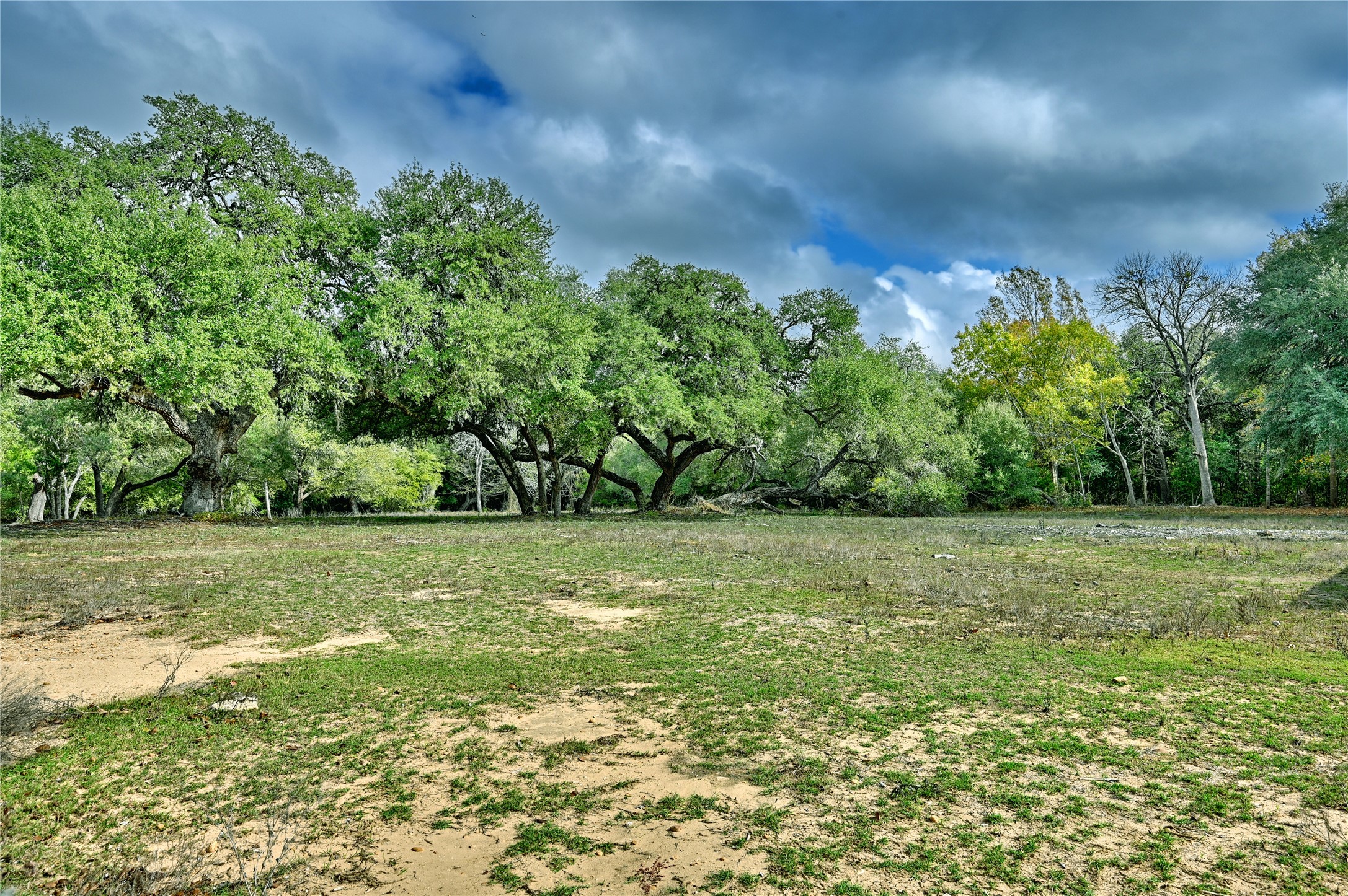 505 N Live Oak Street Property Photo 25