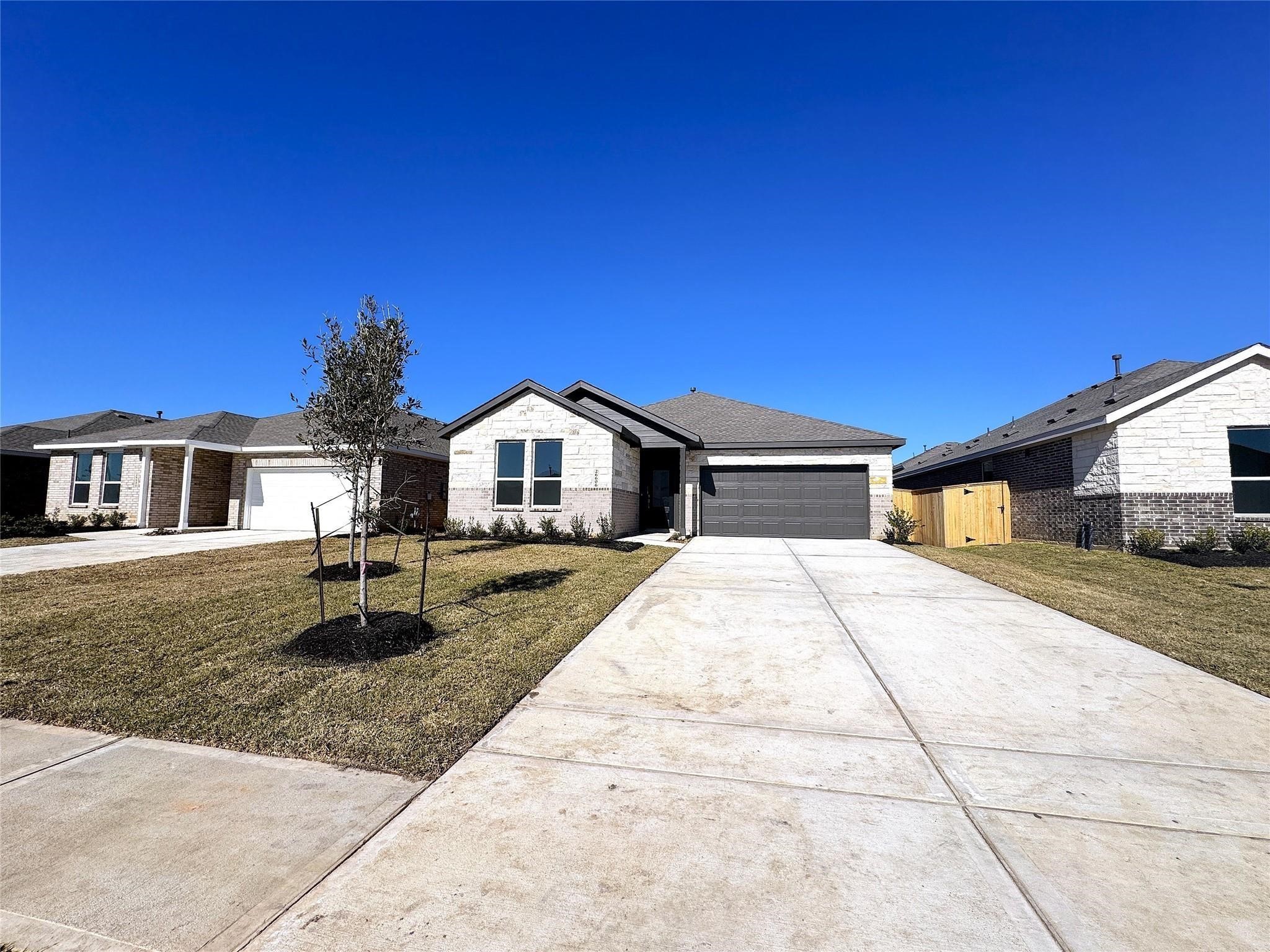 26606 Foxtail Fern Dr Property Photo 2
