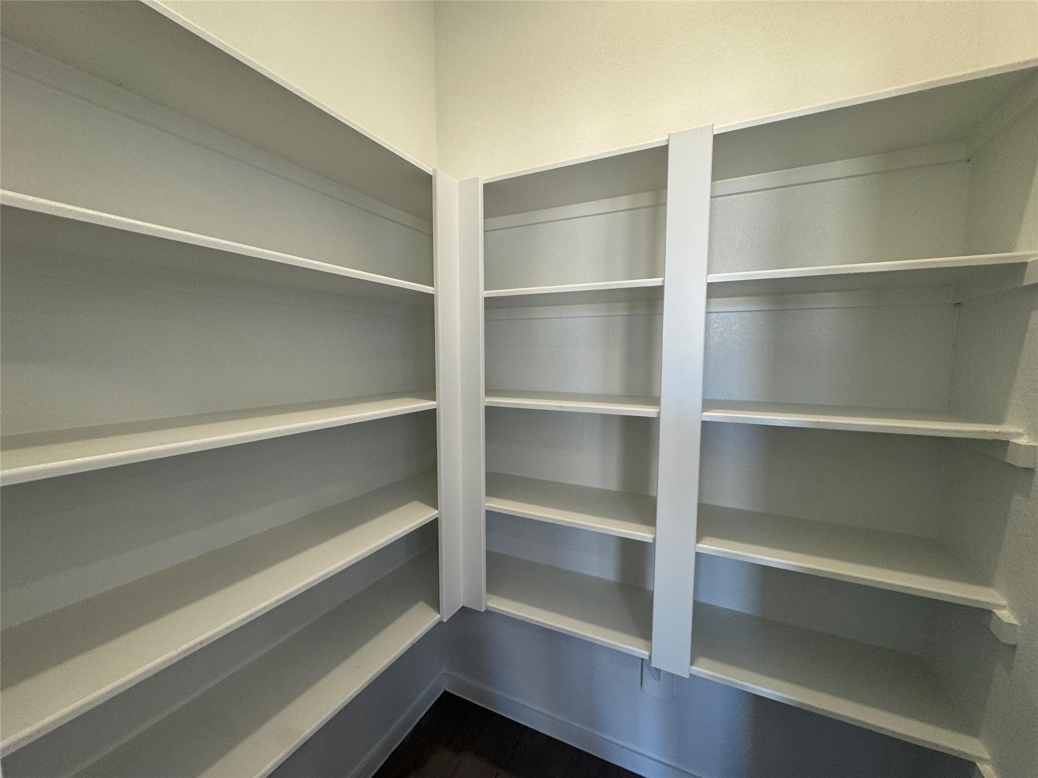 26606 Foxtail Fern Dr Property Photo 28