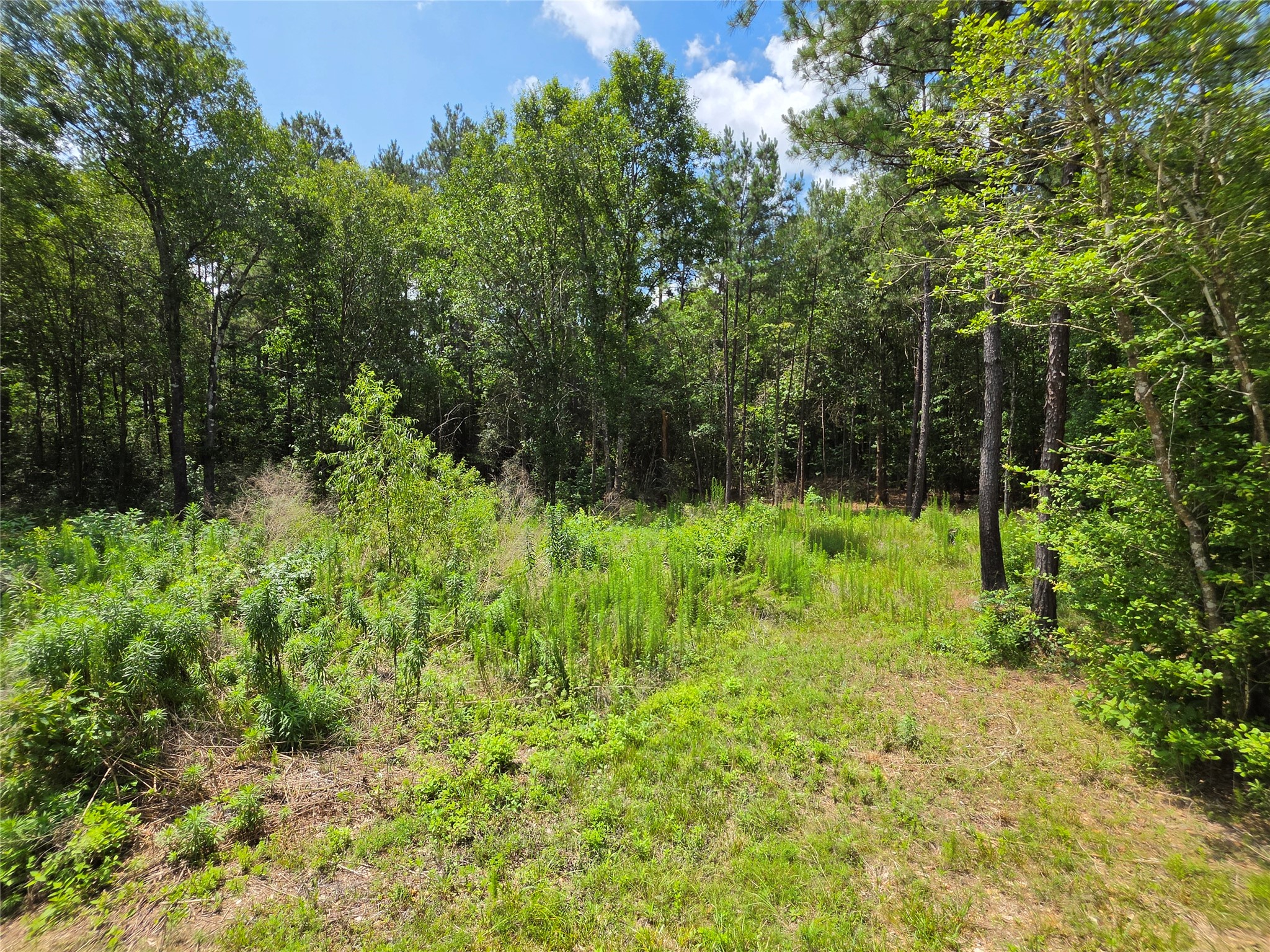 195 County Road 4675 Property Photo 18