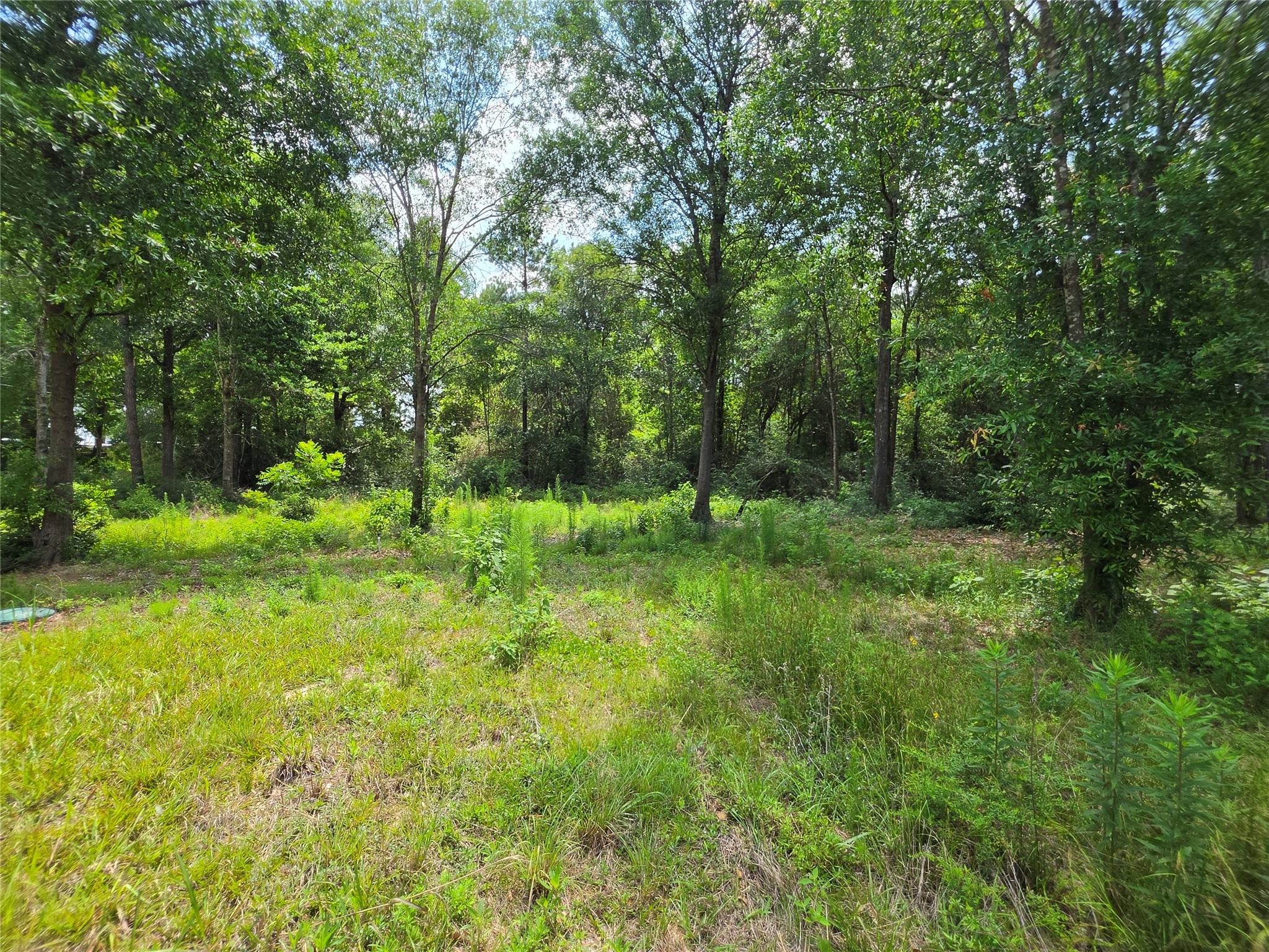 195 County Road 4675 Property Photo 21