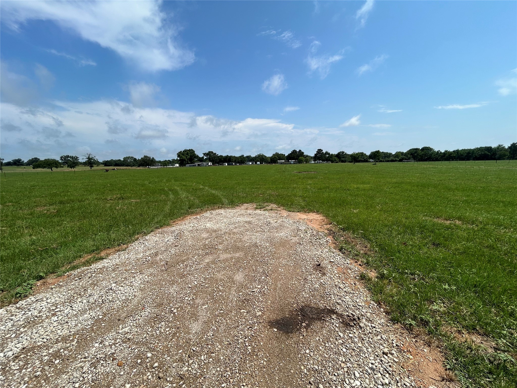 38715 Wiggins Road Property Photo 5
