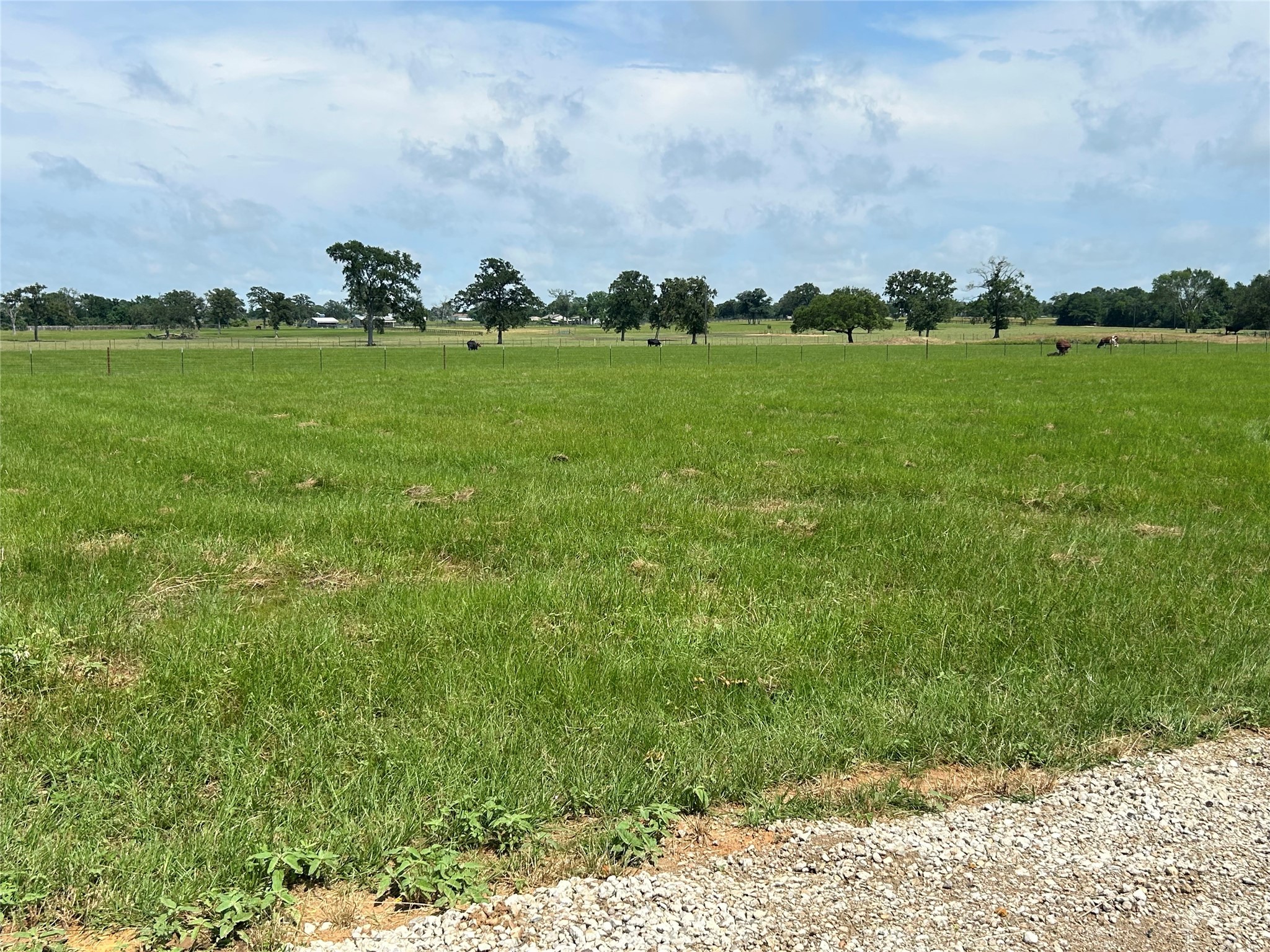 38715 Wiggins Road Property Photo 6
