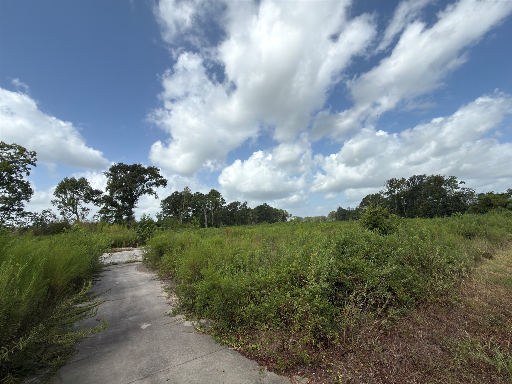 22867 Highway 321 Property Photo 5