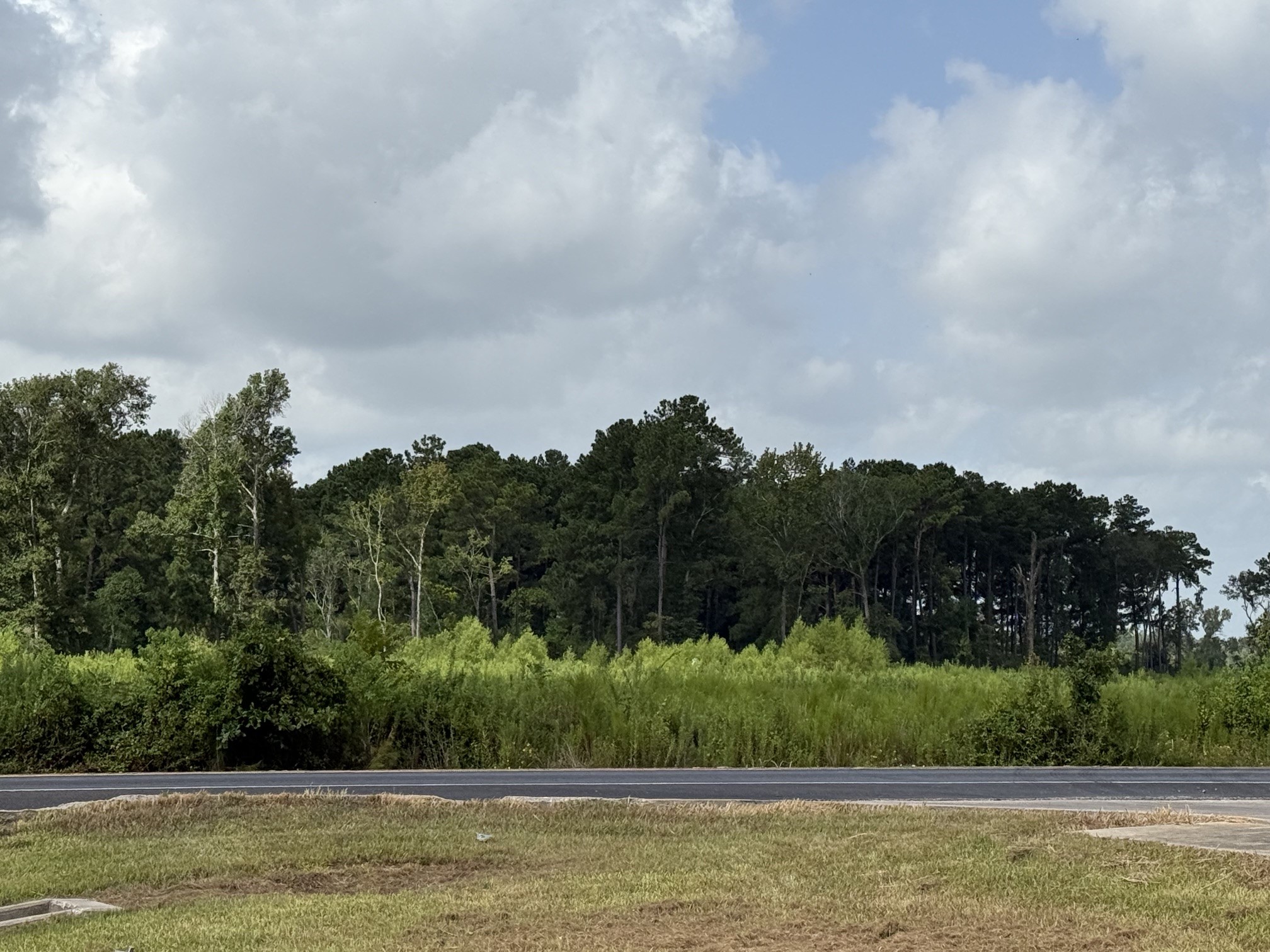 22867 Highway 321 Property Photo 8