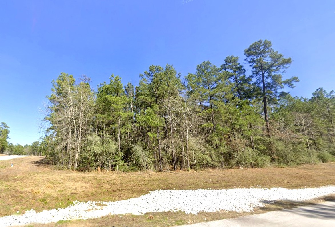 105 Bunkhouse Road Property Photo 6