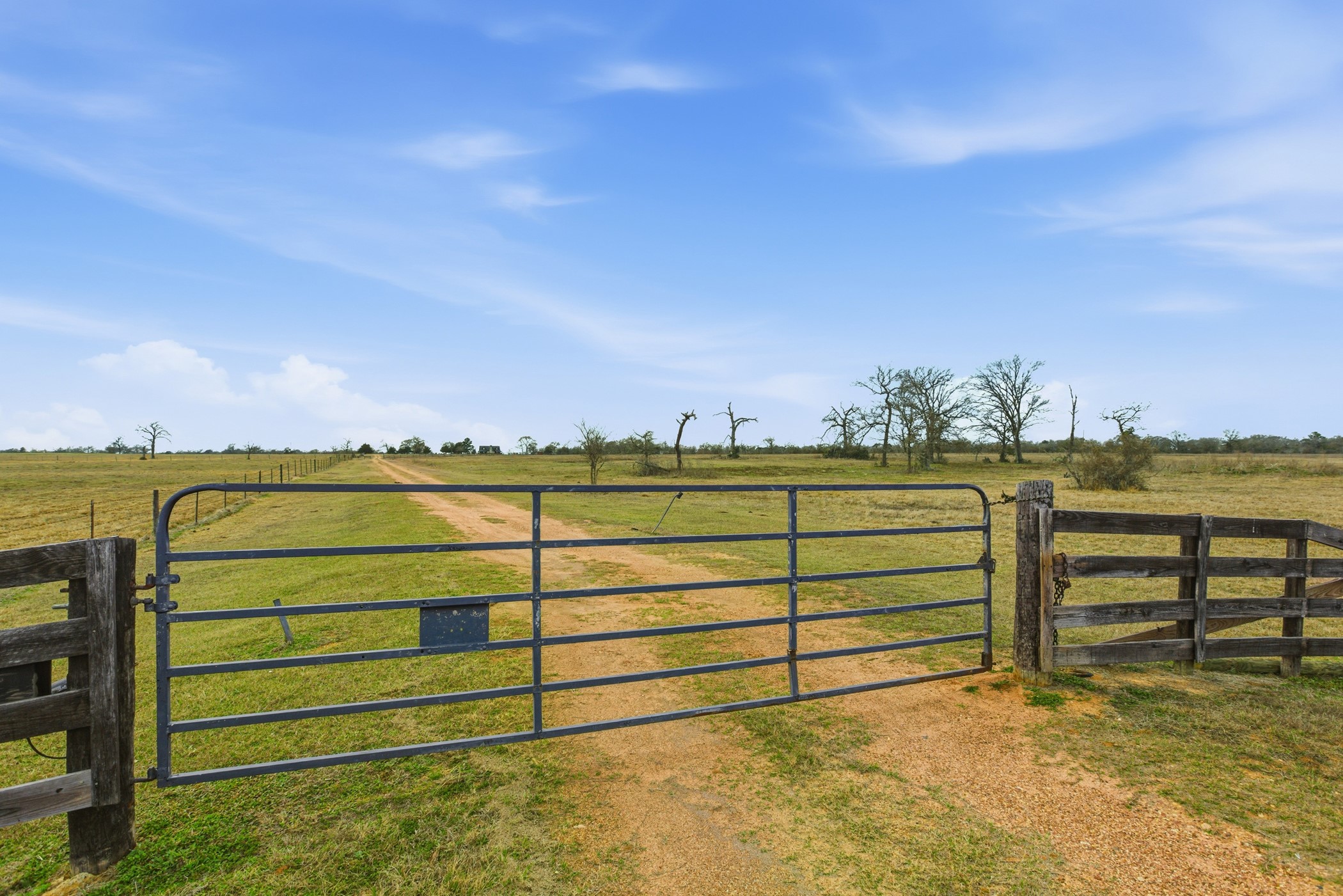 27185 Muckelroy Road Property Photo 7