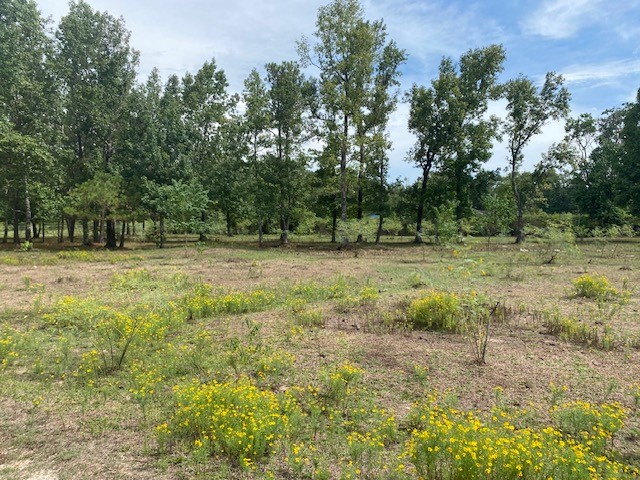 0 Firetower Road Property Photo 4