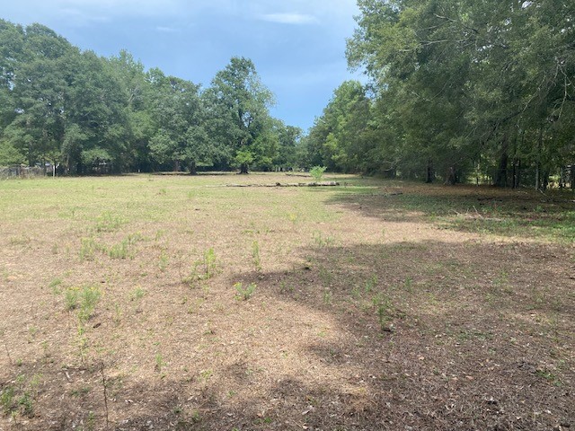 0 Firetower Road Property Photo 6