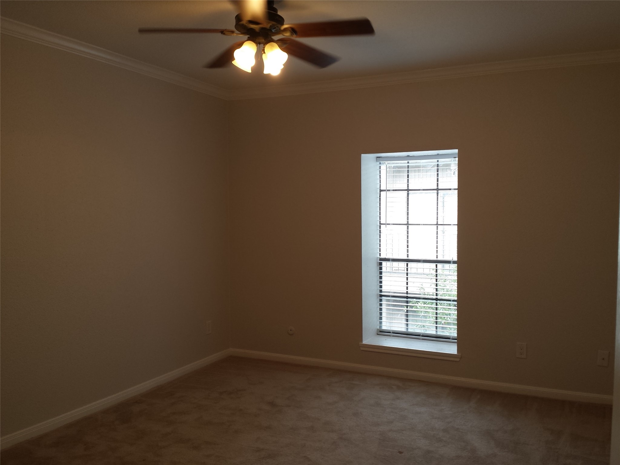 2400 N Braeswood Boulevard 312 Property Photo 10
