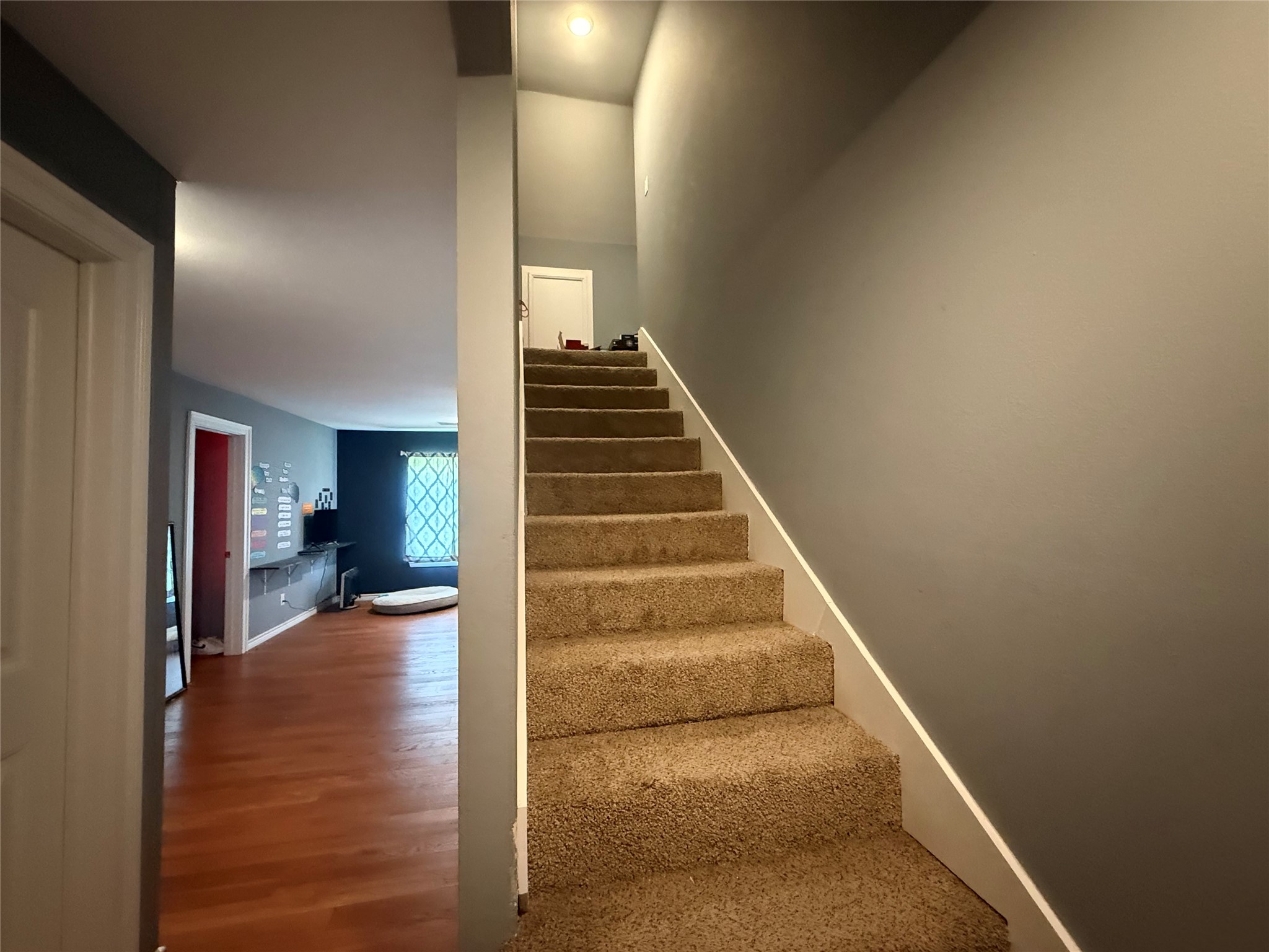 132 County Road 48821 Property Photo 26