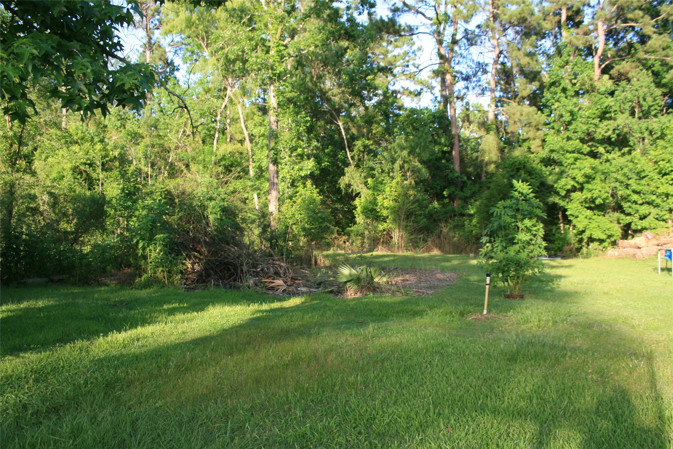 132 County Road 48821 Property Photo 37