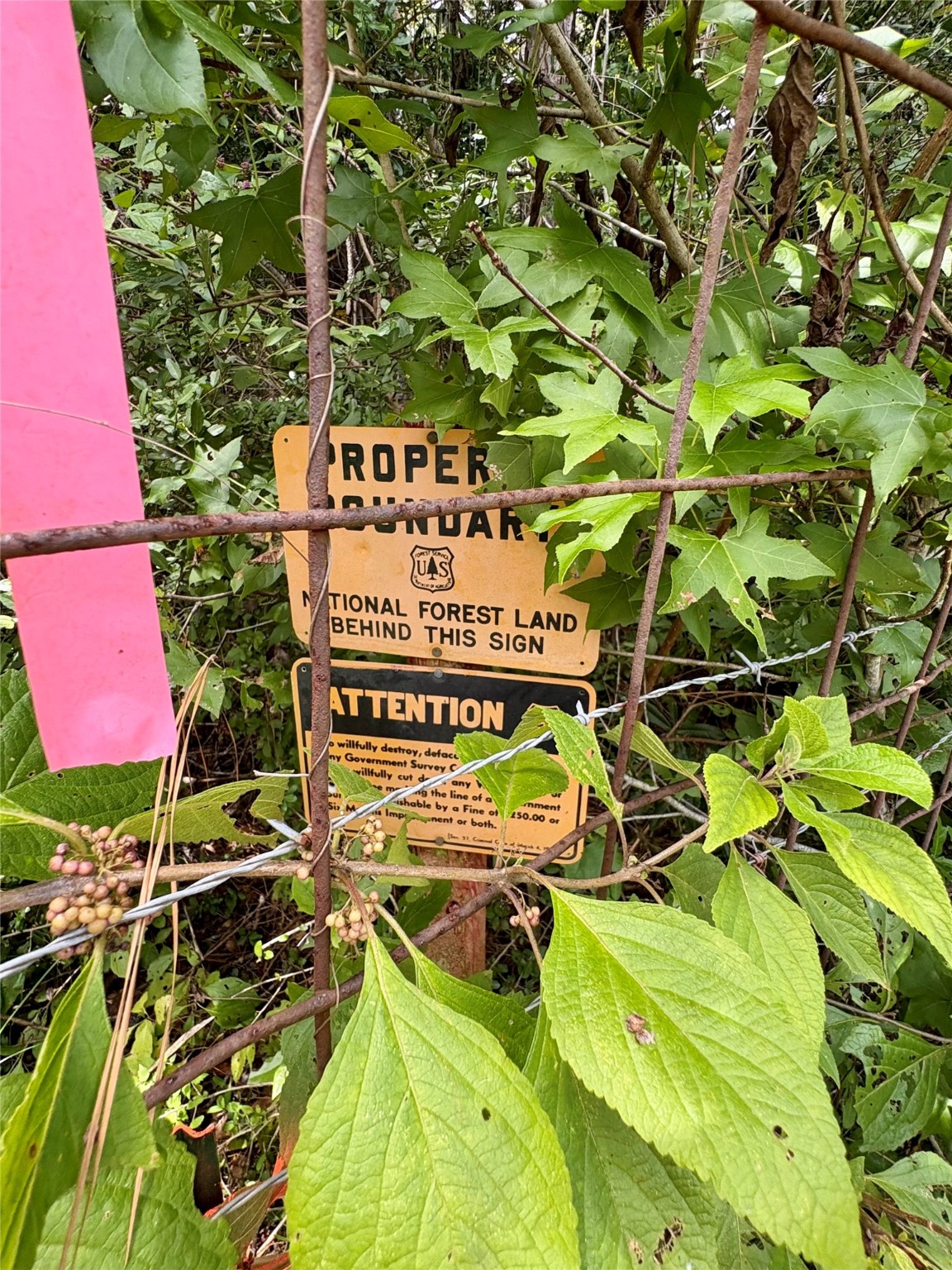 0 Fm 1725 Property Photo 13