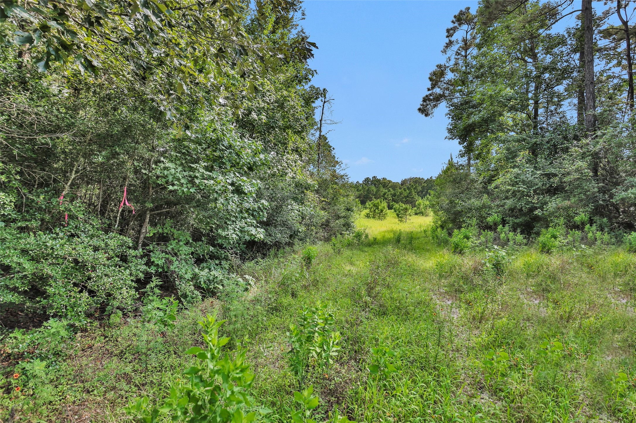 0 Fm 1725 Property Photo 15