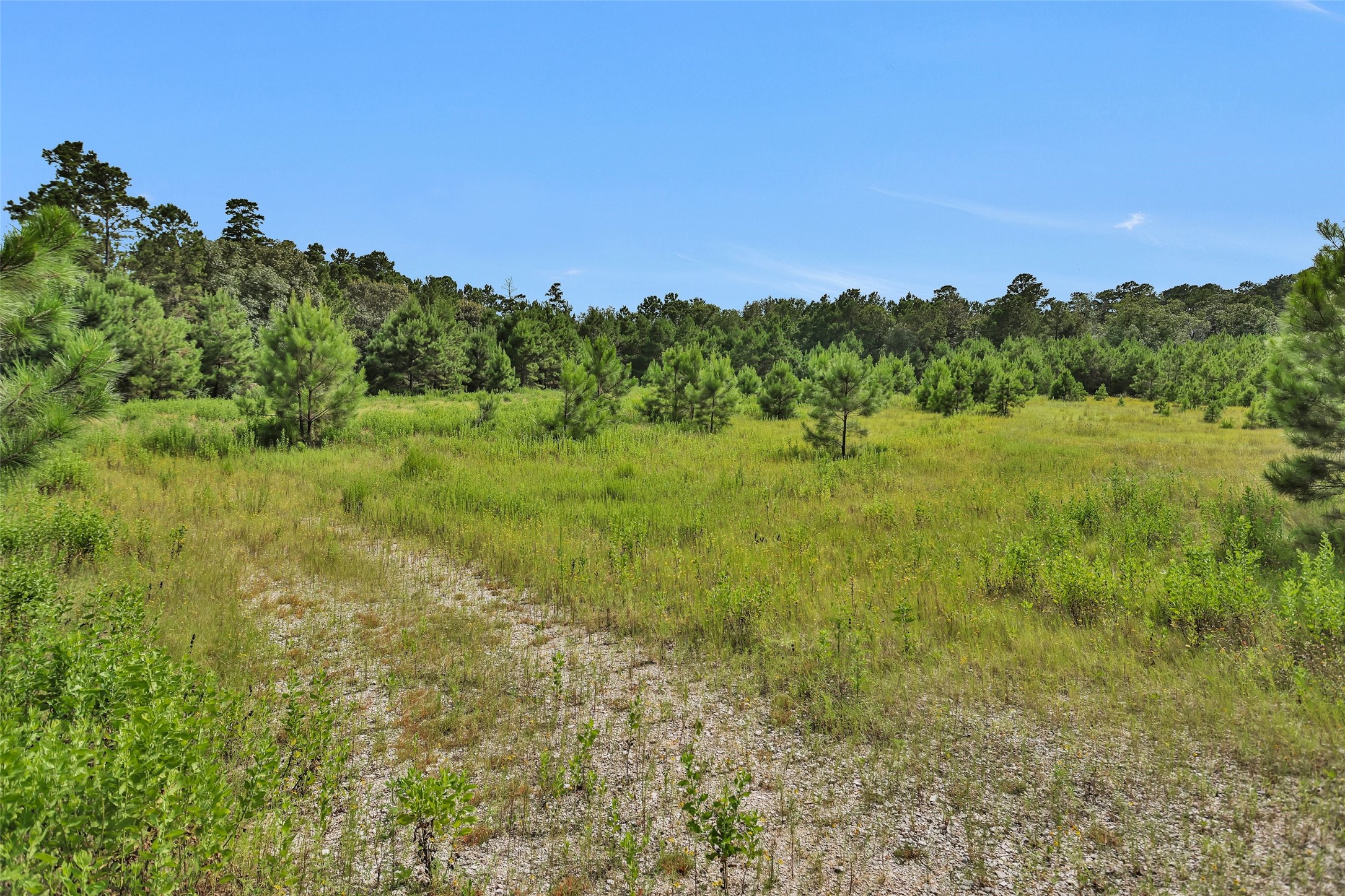 0 Fm 1725 Property Photo 16