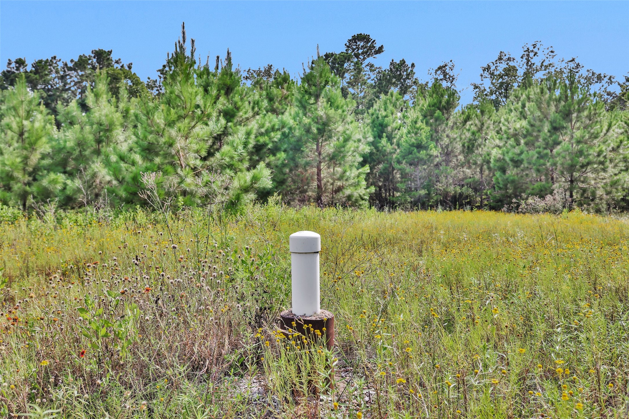 0 Fm 1725 Property Photo 17