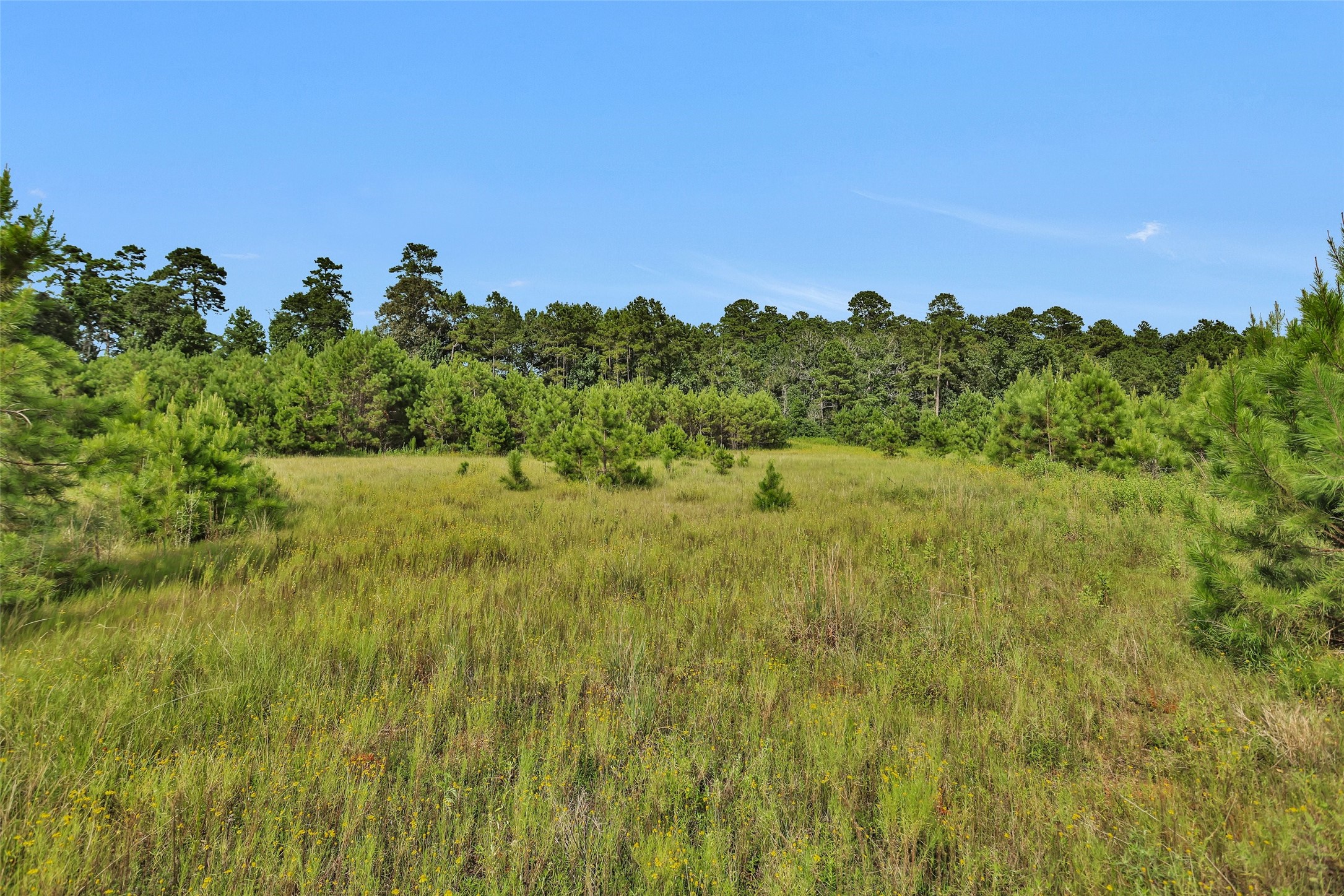 0 Fm 1725 Property Photo 18