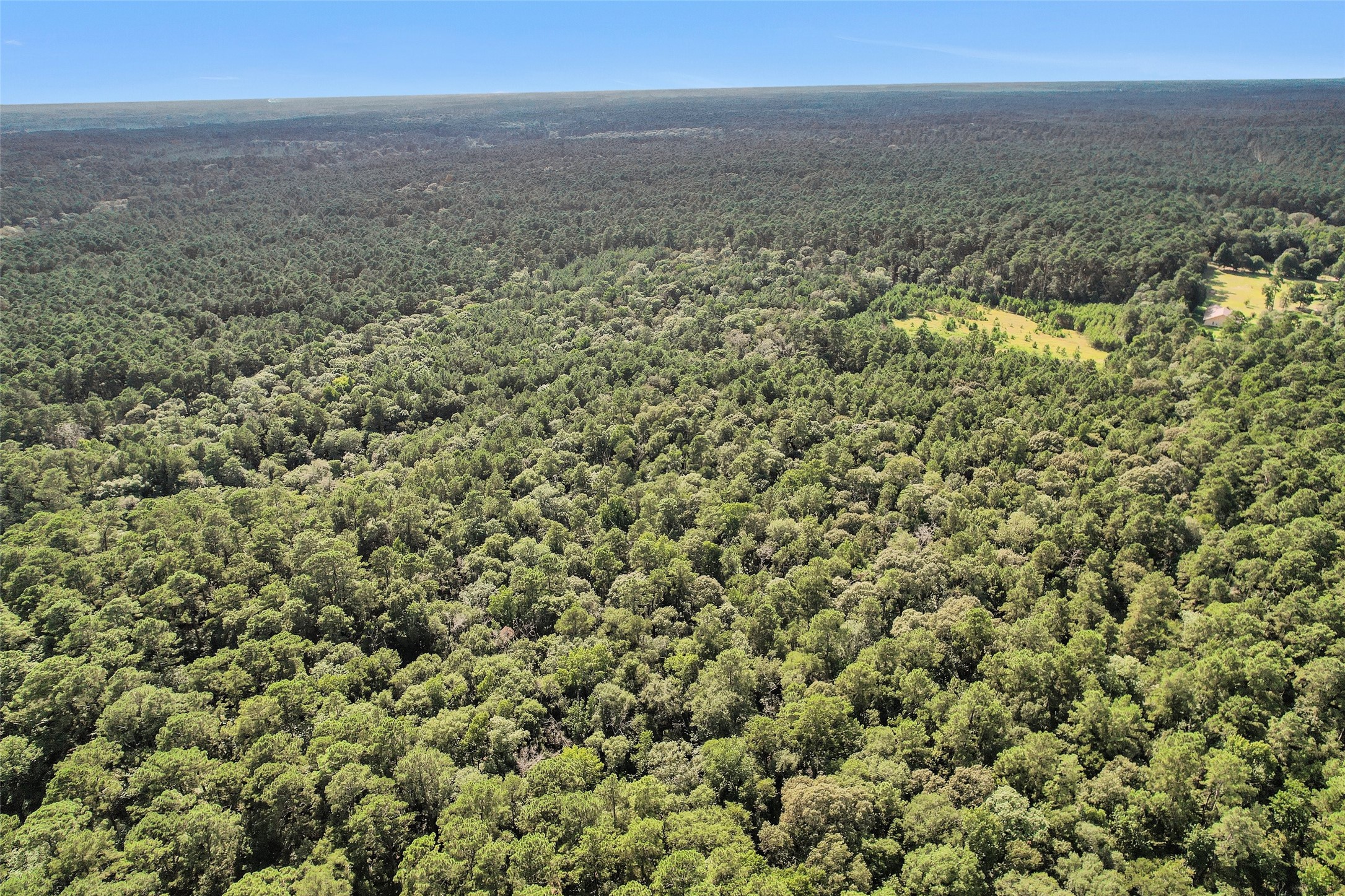 0 Fm 1725 Property Photo 23