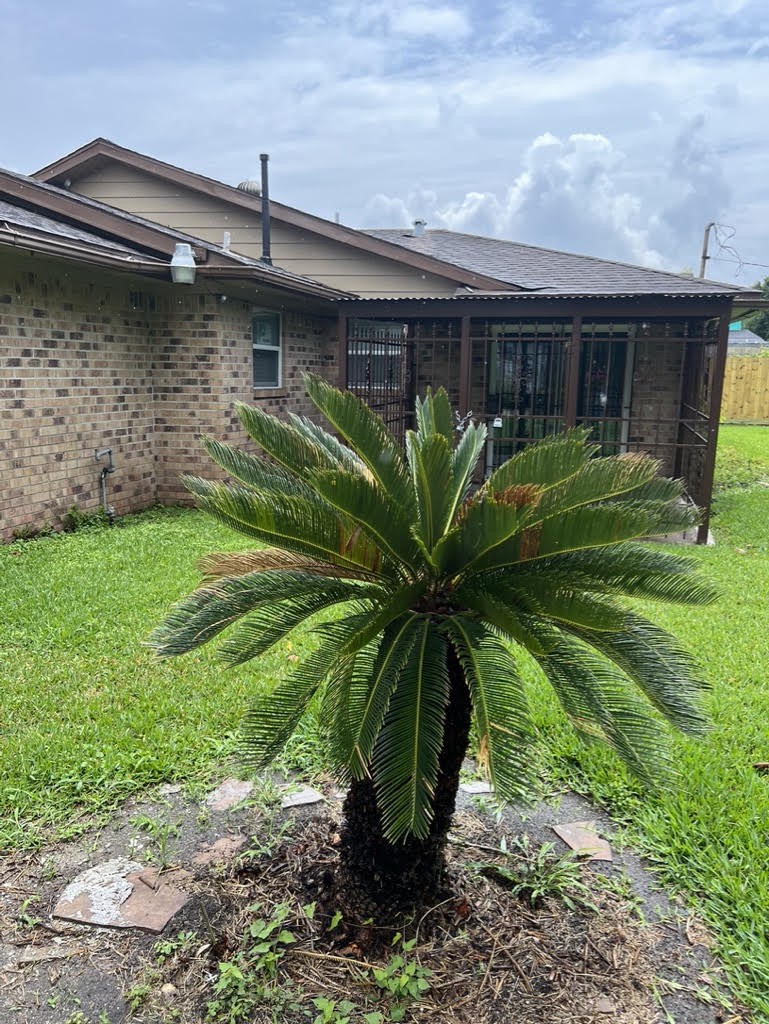 5028 Mayflower Street Property Photo 3
