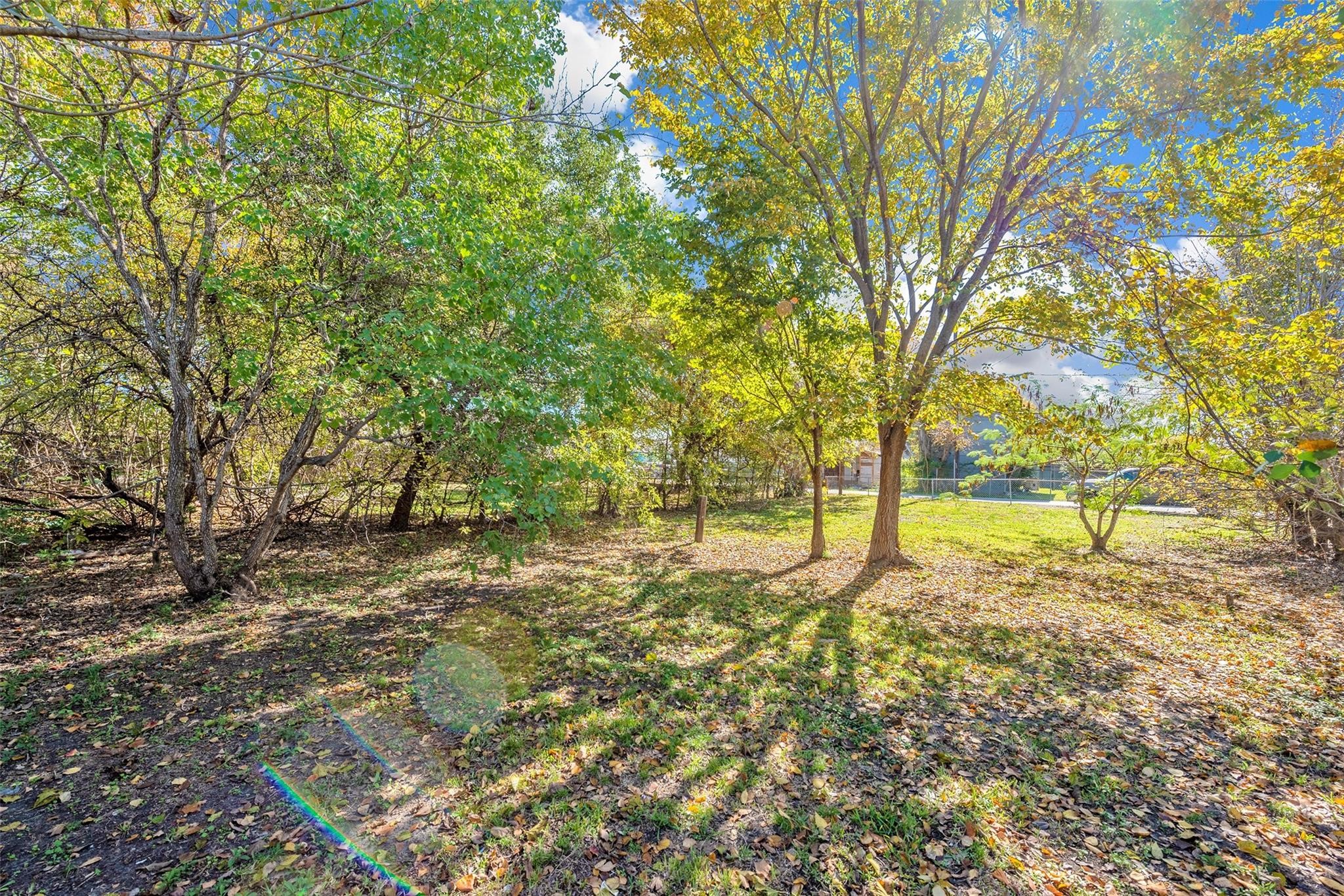 3209 Adelia Street Property Photo 3