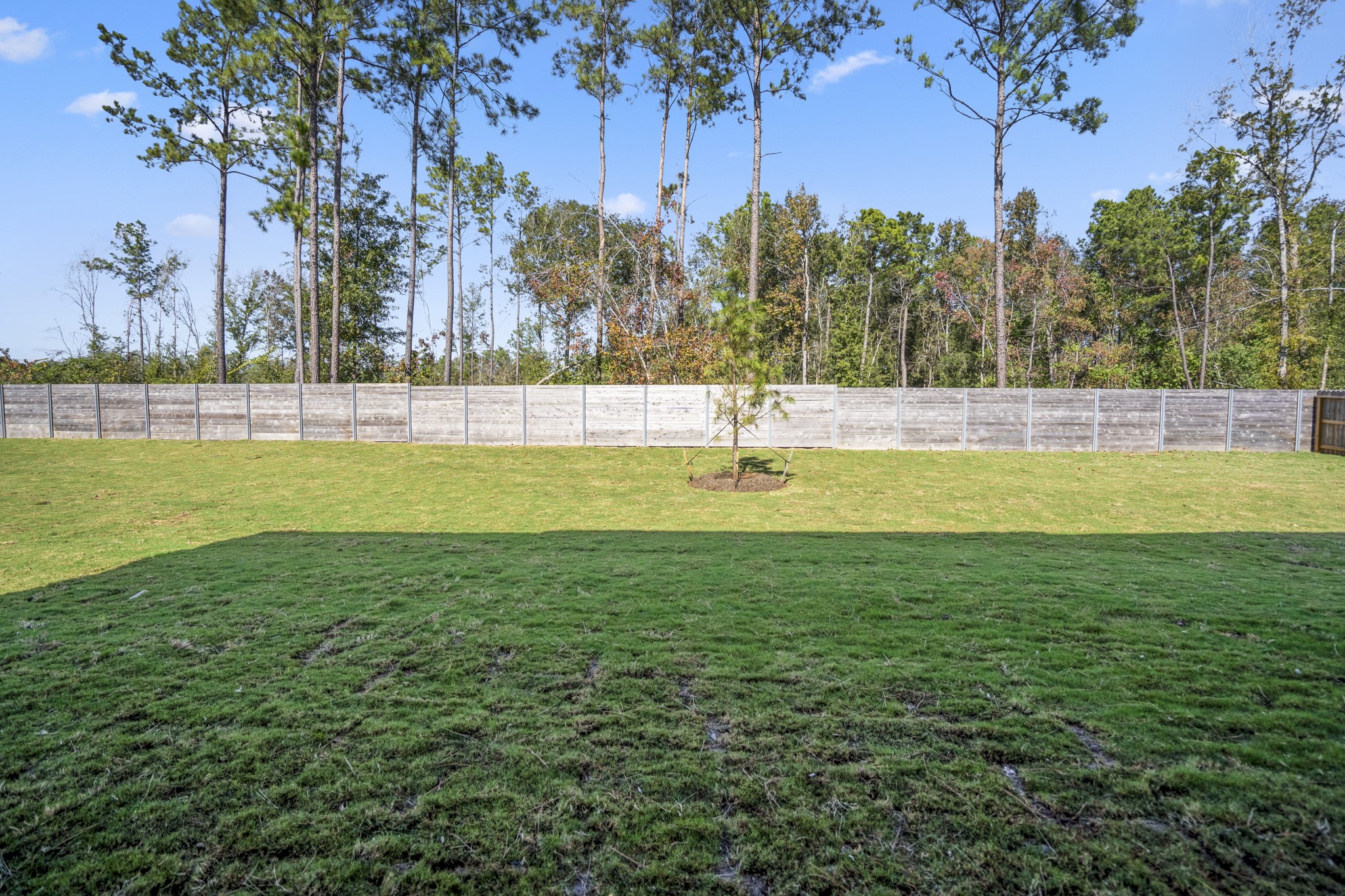 17202 Blooming Suzans Lane Property Photo 43