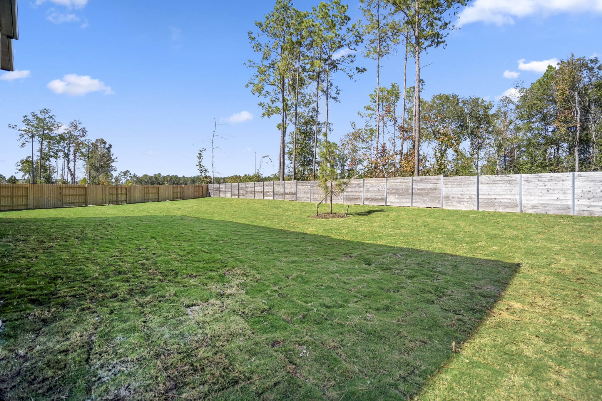 17202 Blooming Suzans Lane Property Photo 44