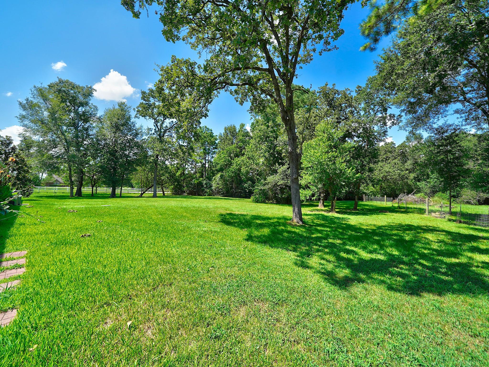 32210 Mink Creek Court, Magnolia Tx 77355 Property Photo 40