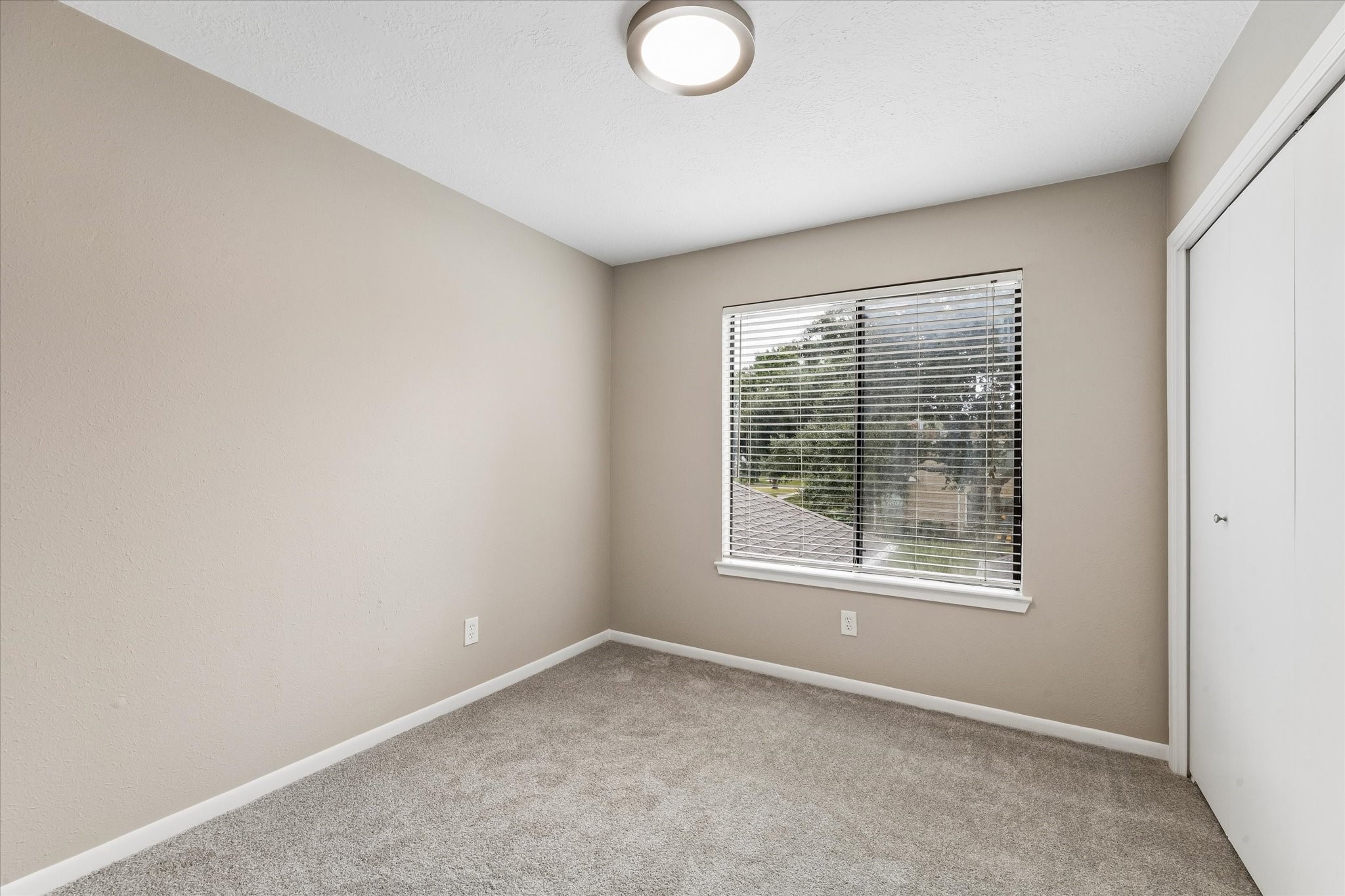 1480 Gemini Street Property Photo 15