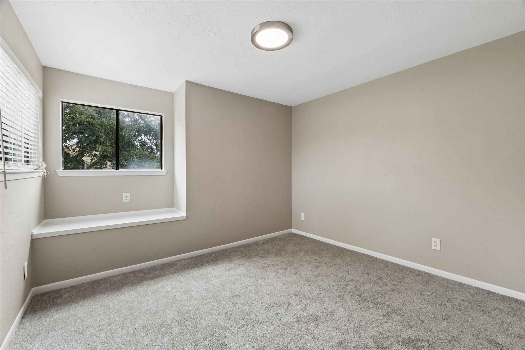 1480 Gemini Street Property Photo 17