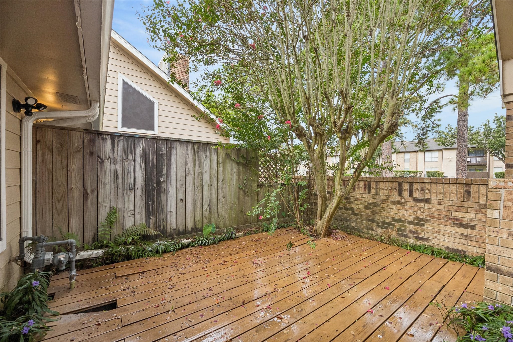 1480 Gemini Street Property Photo 18