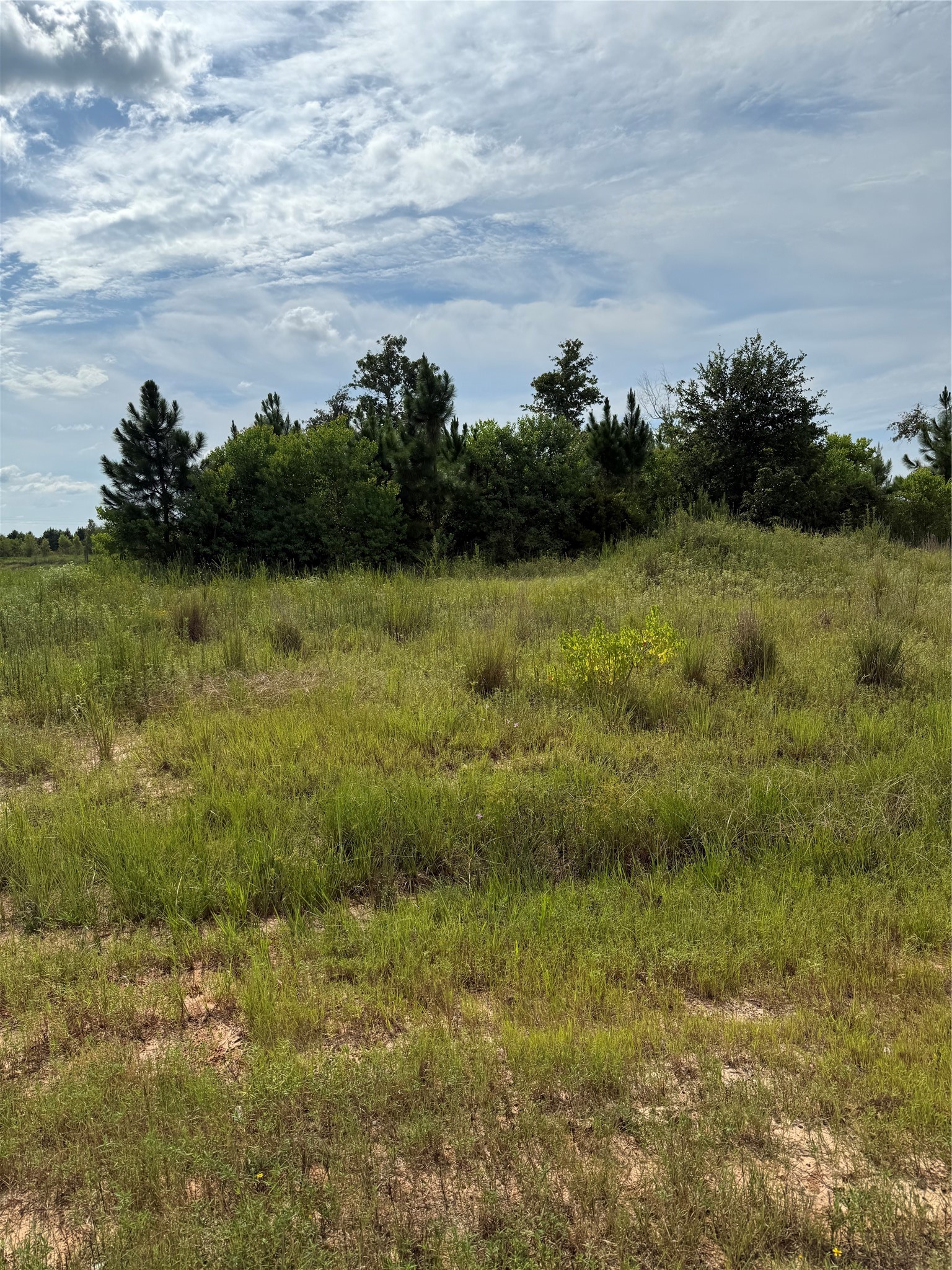 308 Road 5601 Property Photo 4