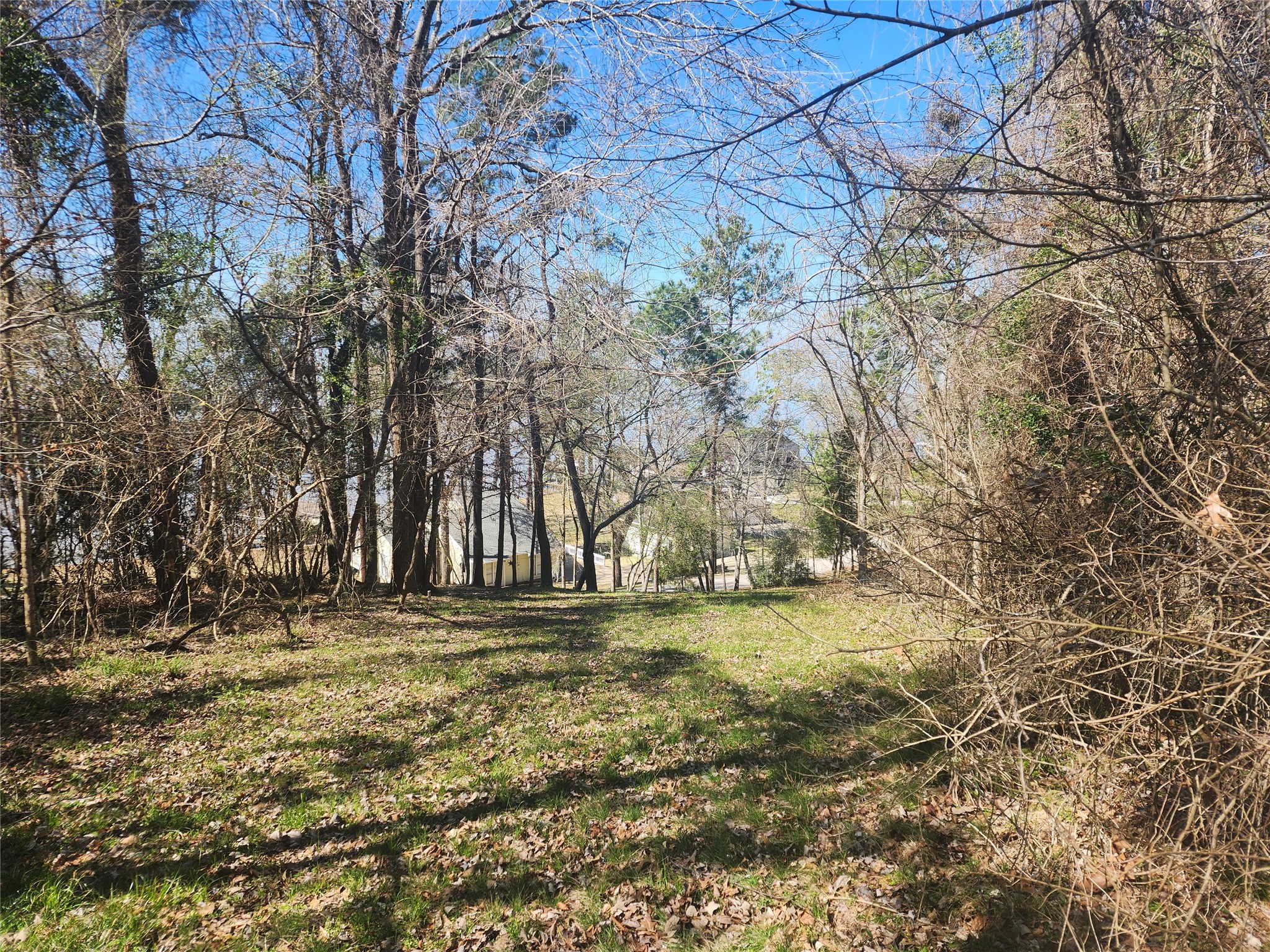 000 Linda Chain Road Property Photo 6